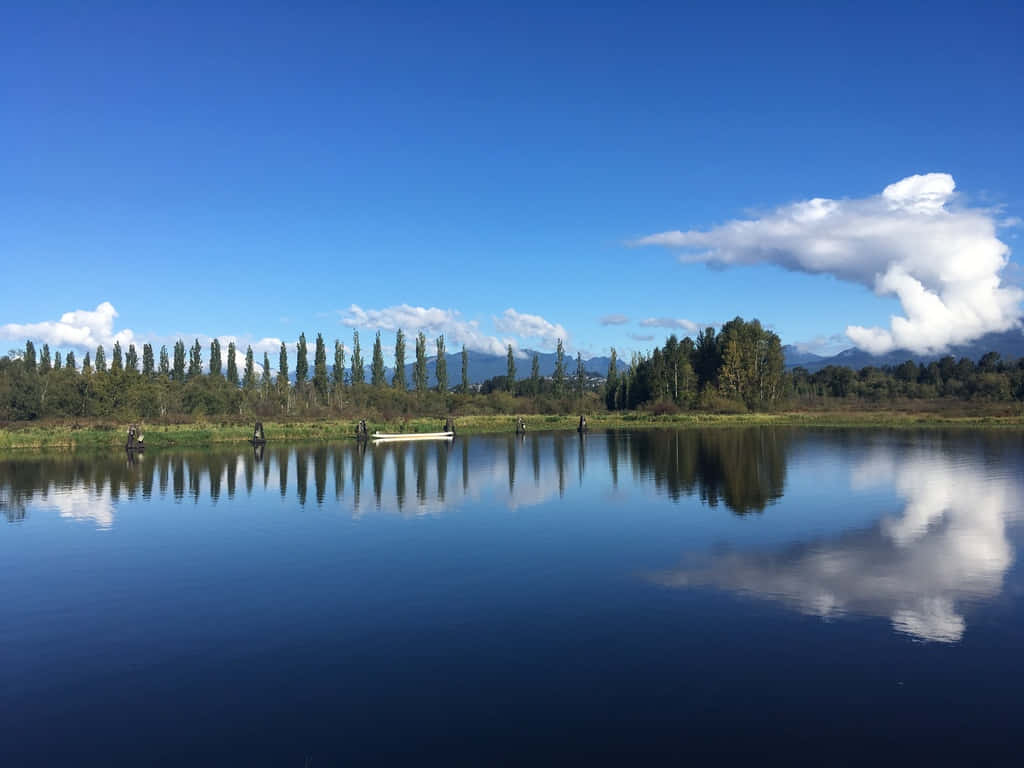 Burnaby Lake, serenity, reflection, SD Desktop Wallpaper