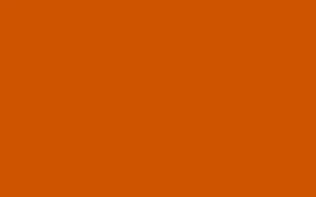 Burnt Orange Aesthetic