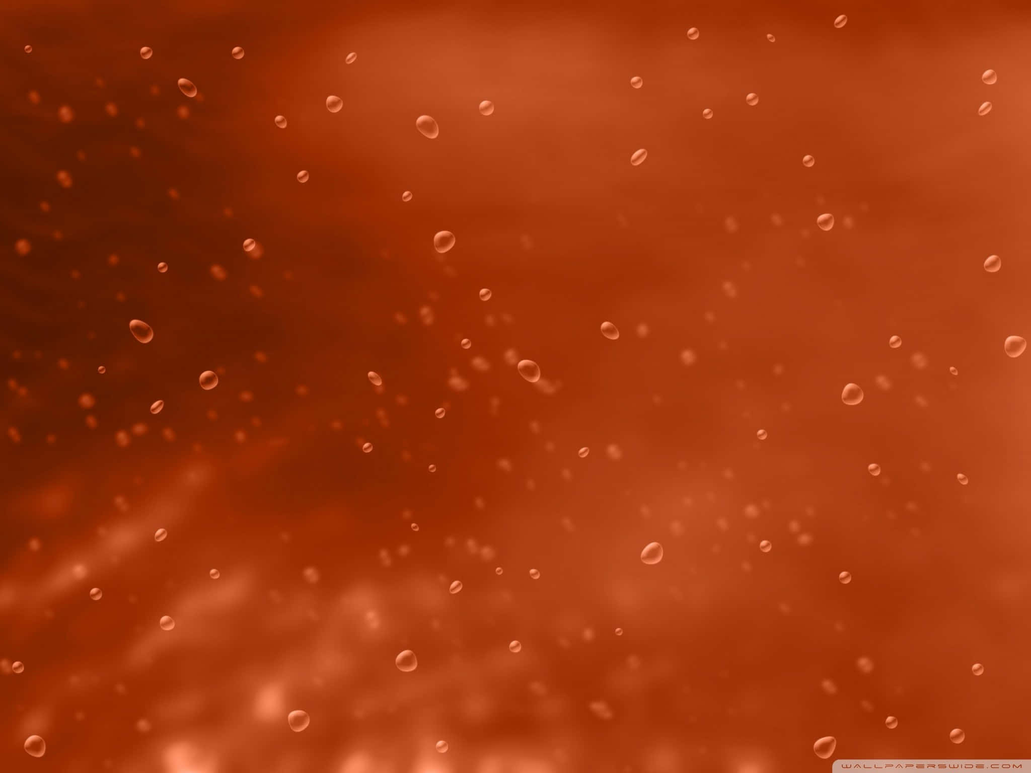 burnt orange, bokeh background, translucent bubbles, Full HD Desktop Wallpaper