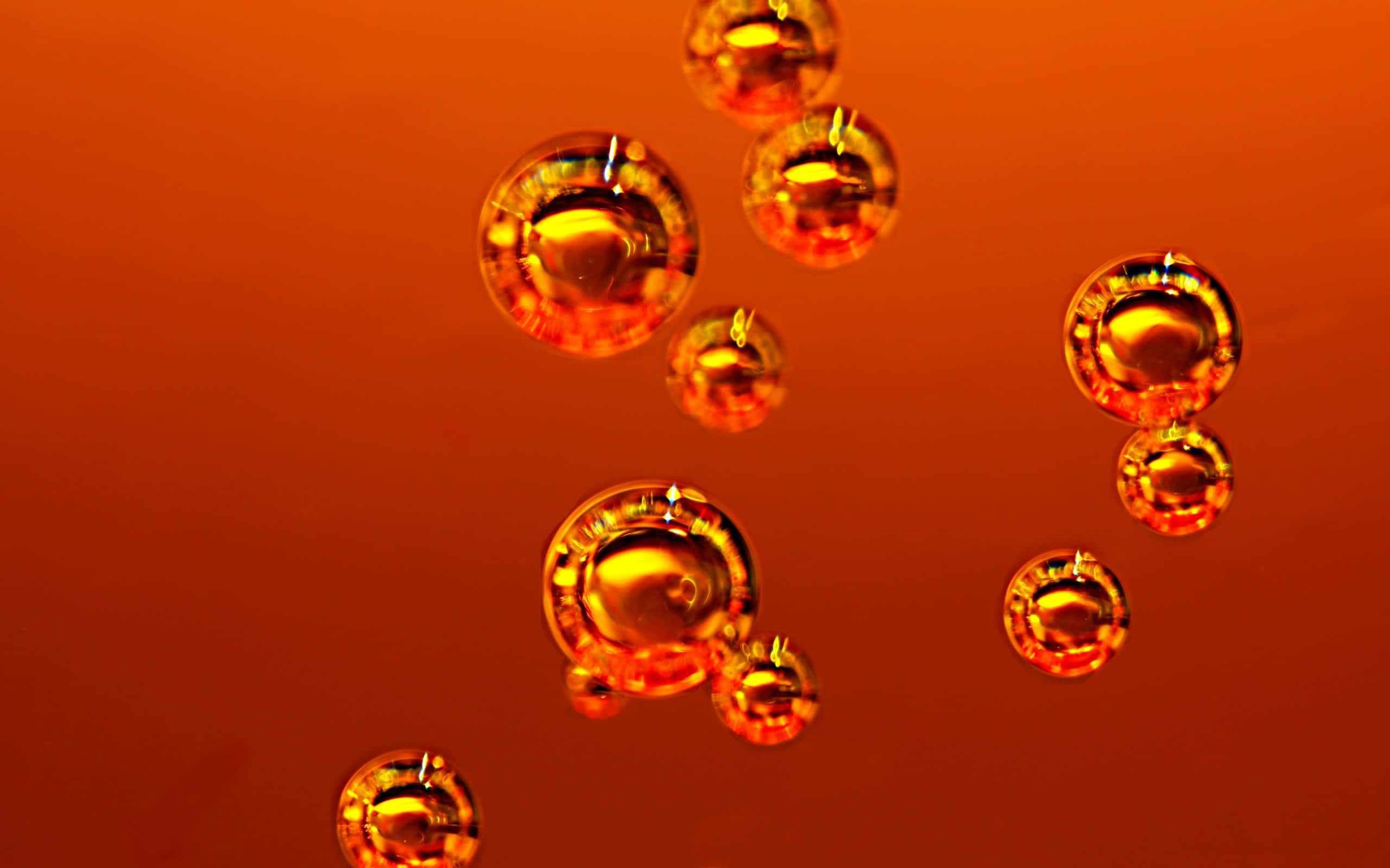 burnt orange, amber bubbles, warm gradient orange background, 2K Desktop Wallpaper