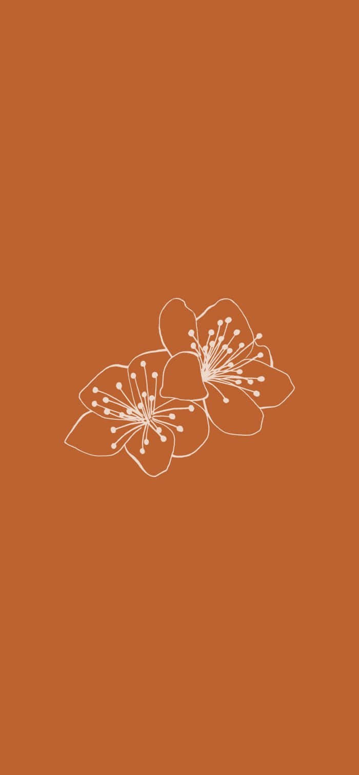 burnt orange, floral illustration, white line-drawn flowers, HD Phone Wallpaper