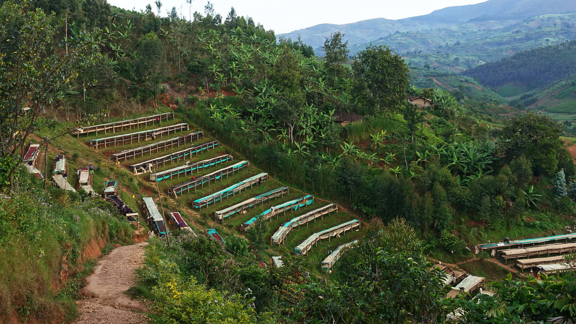 Burundi, terraced hillside, wooden and blue-roofed structures, Full HD Desktop Wallpaper