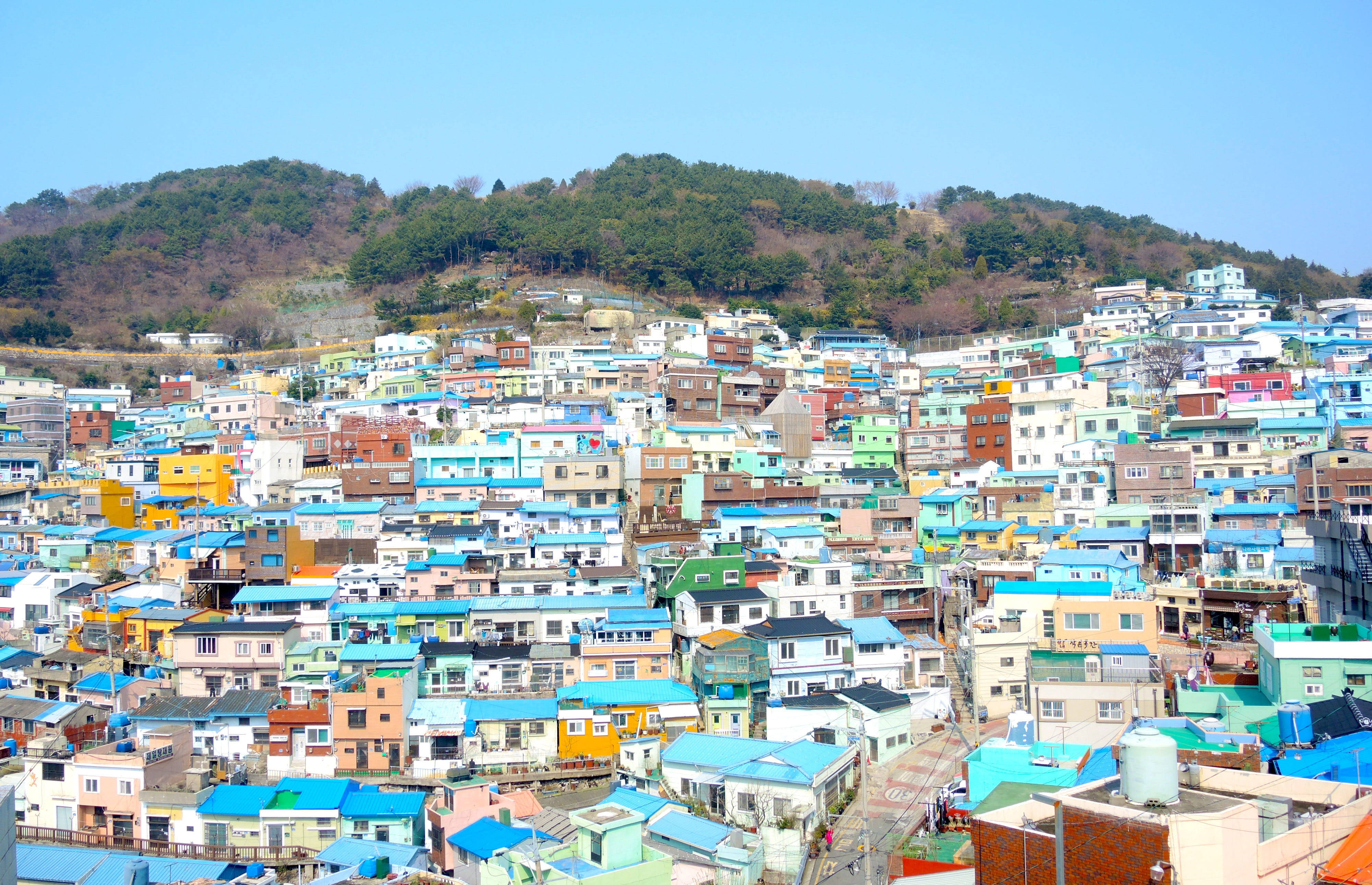 Busan, residential area, multicolored houses, 4K Desktop Wallpaper