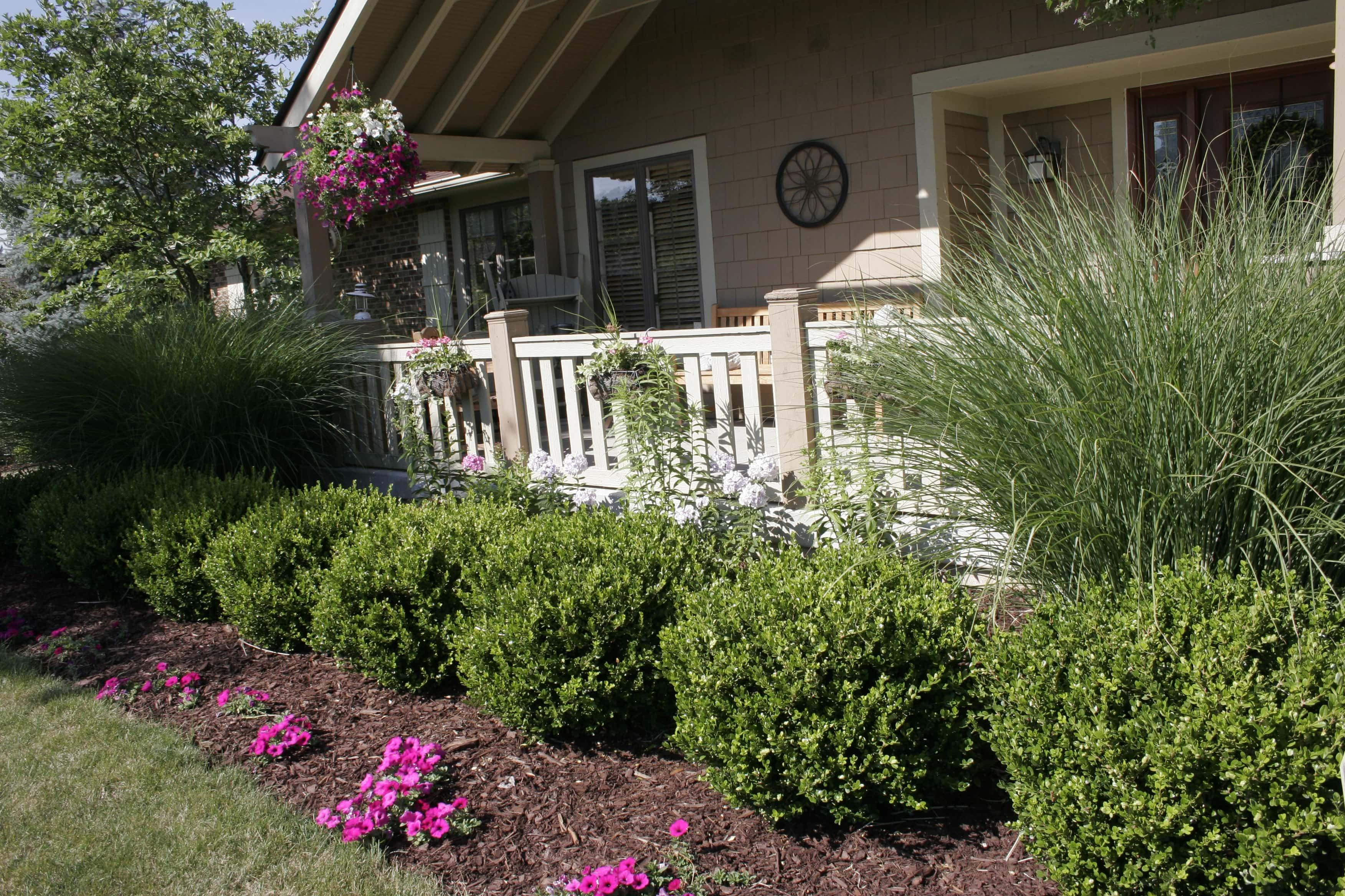 front lawn, bushes, flowers, 2K Desktop Wallpaper