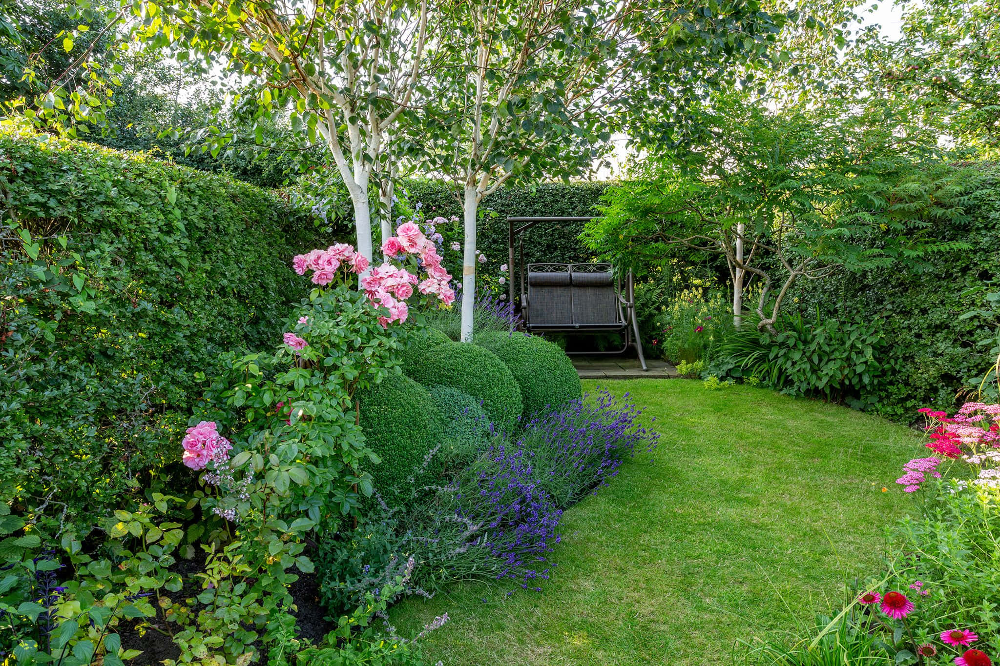 pink roses, lavender bushes, wooden swing, Full HD Desktop Wallpaper