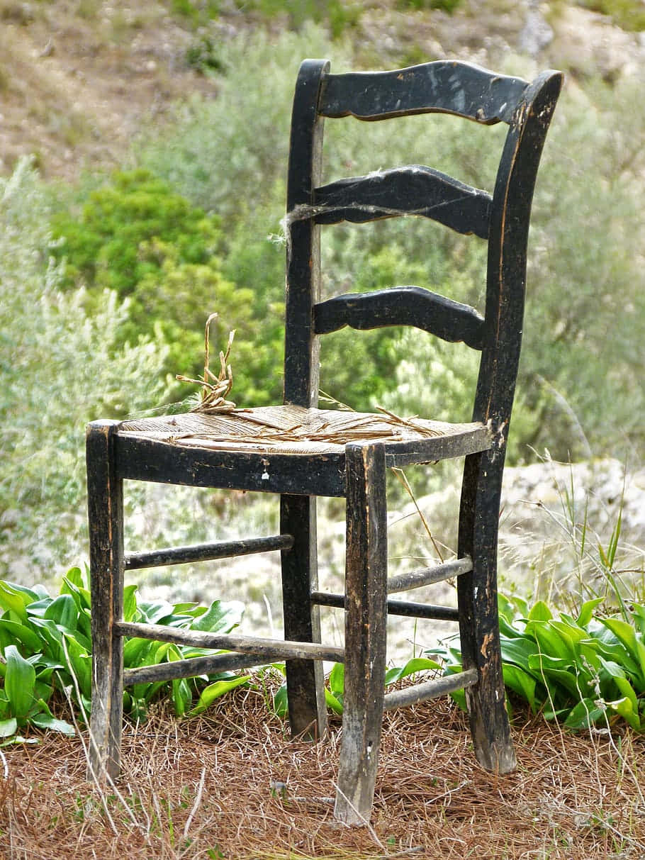 abandoned black chair, straw seat, sunlit field, SD Phone Wallpaper
