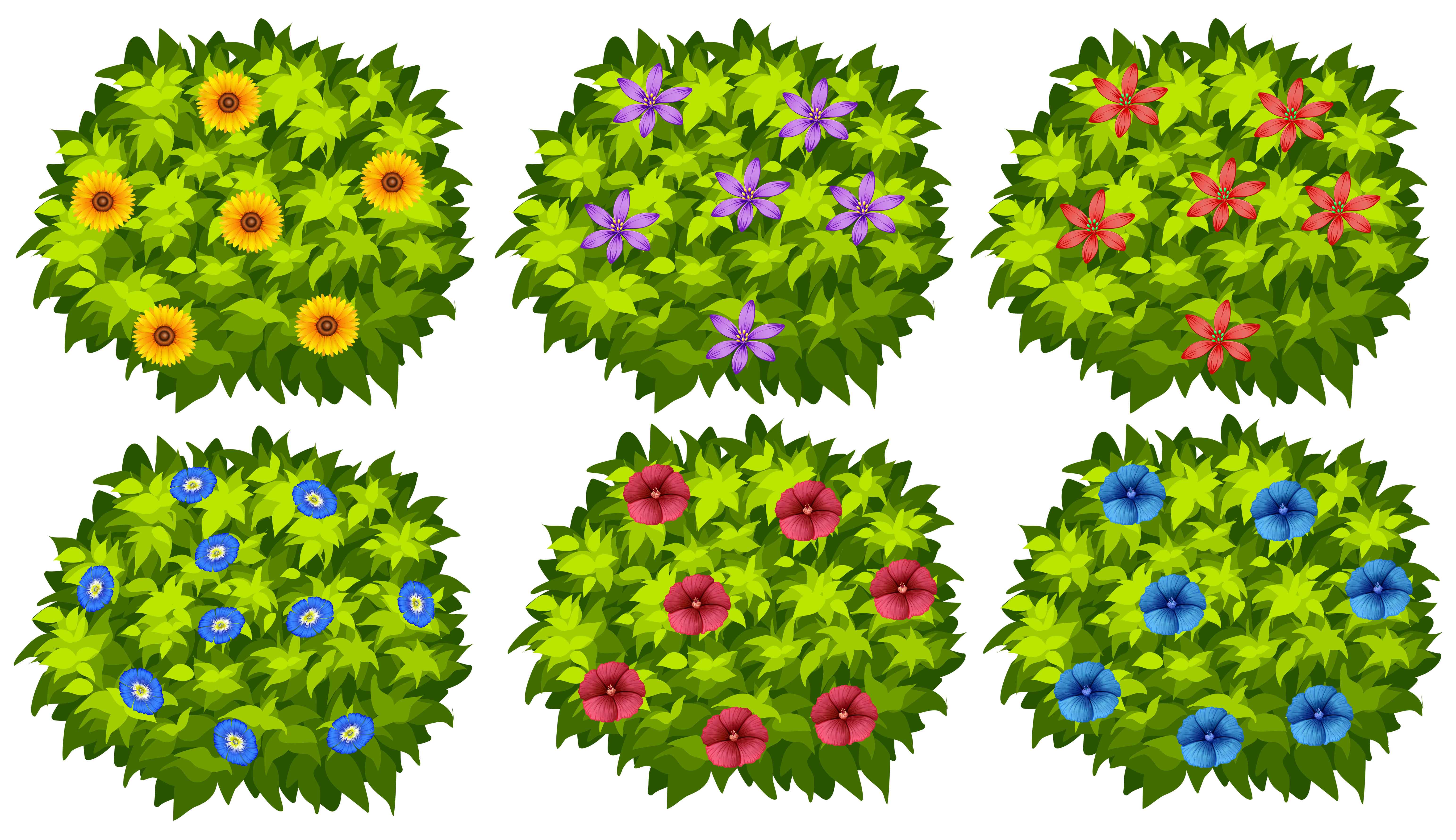 Vibrant Hues of Nature, bushes, vibrant green leaves, 5K Desktop Wallpaper