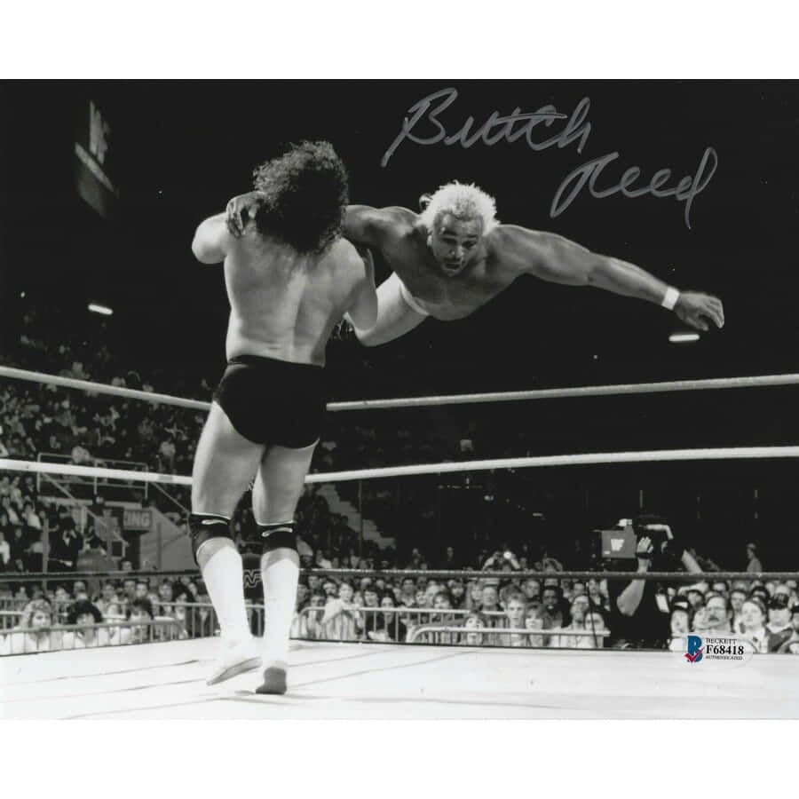 Butch Reed, wrestling ring, flying move, SD Desktop Wallpaper