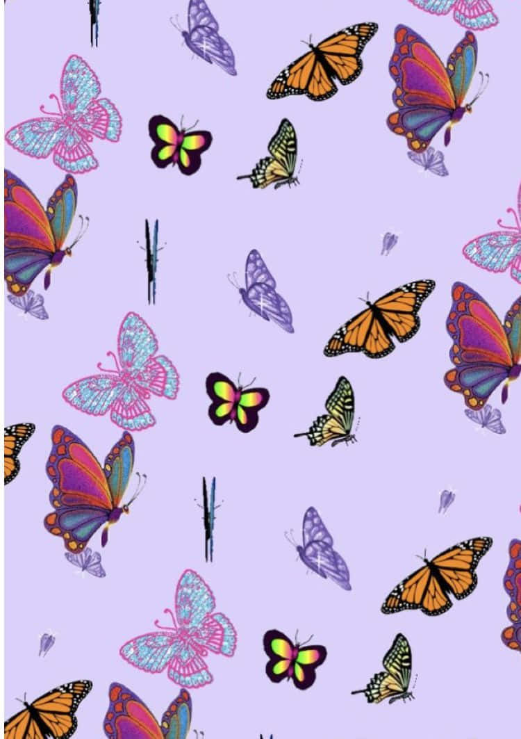cute purple butterfly, vibrant multicolored butterflies, soft lavender background, SD Phone Wallpaper