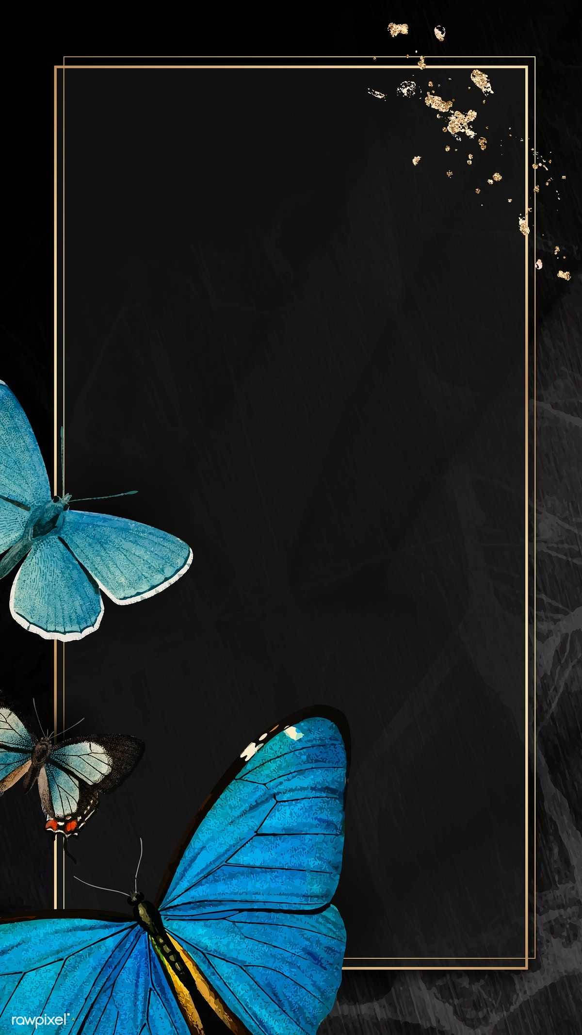 Black Butterfly Aesthetic, vibrant blue butterflies, gold accents, Full HD Phone Wallpaper