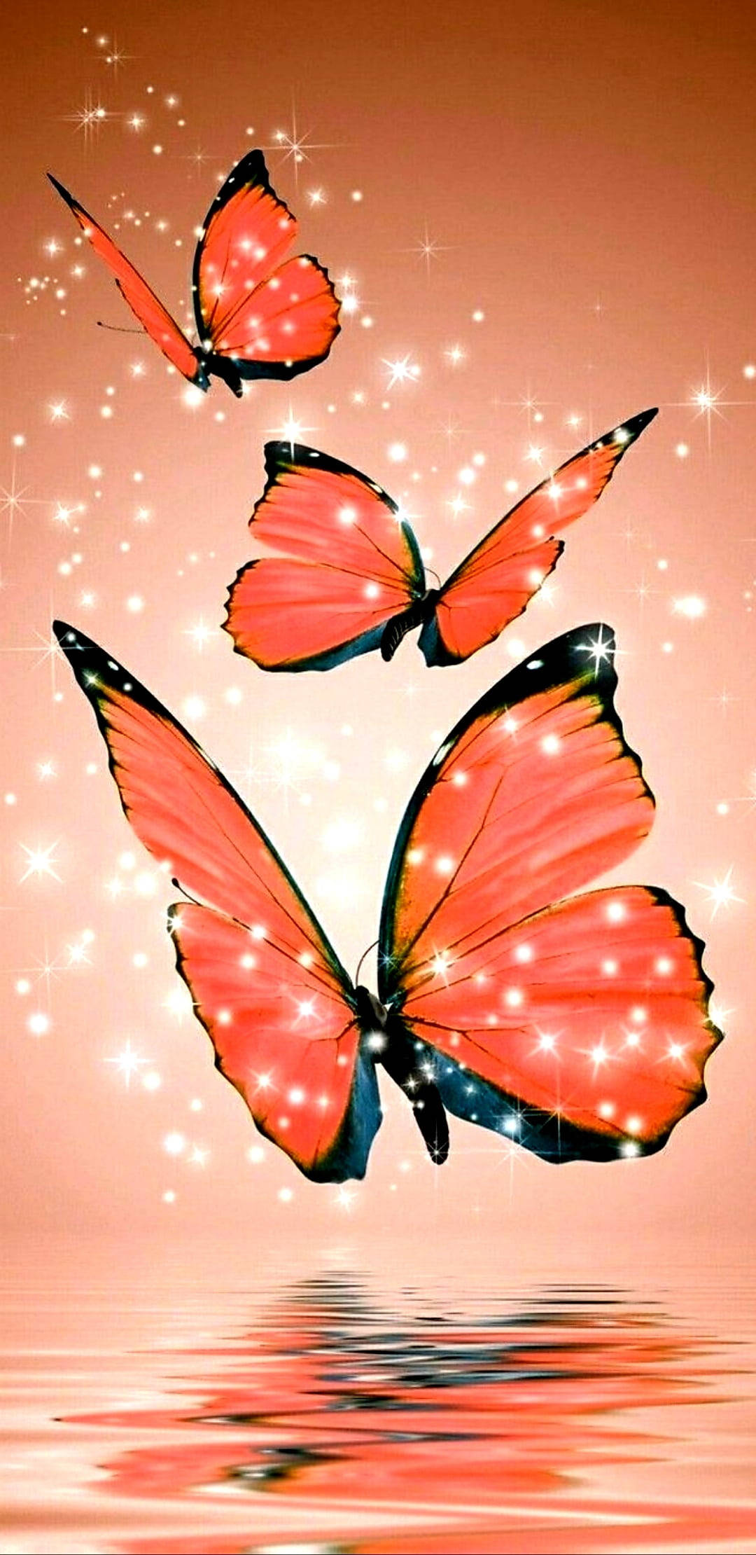 Sparkling Aesthetic Orange Butterfly, glowing orange butterflies, black edges, Full HD Phone Wallpaper