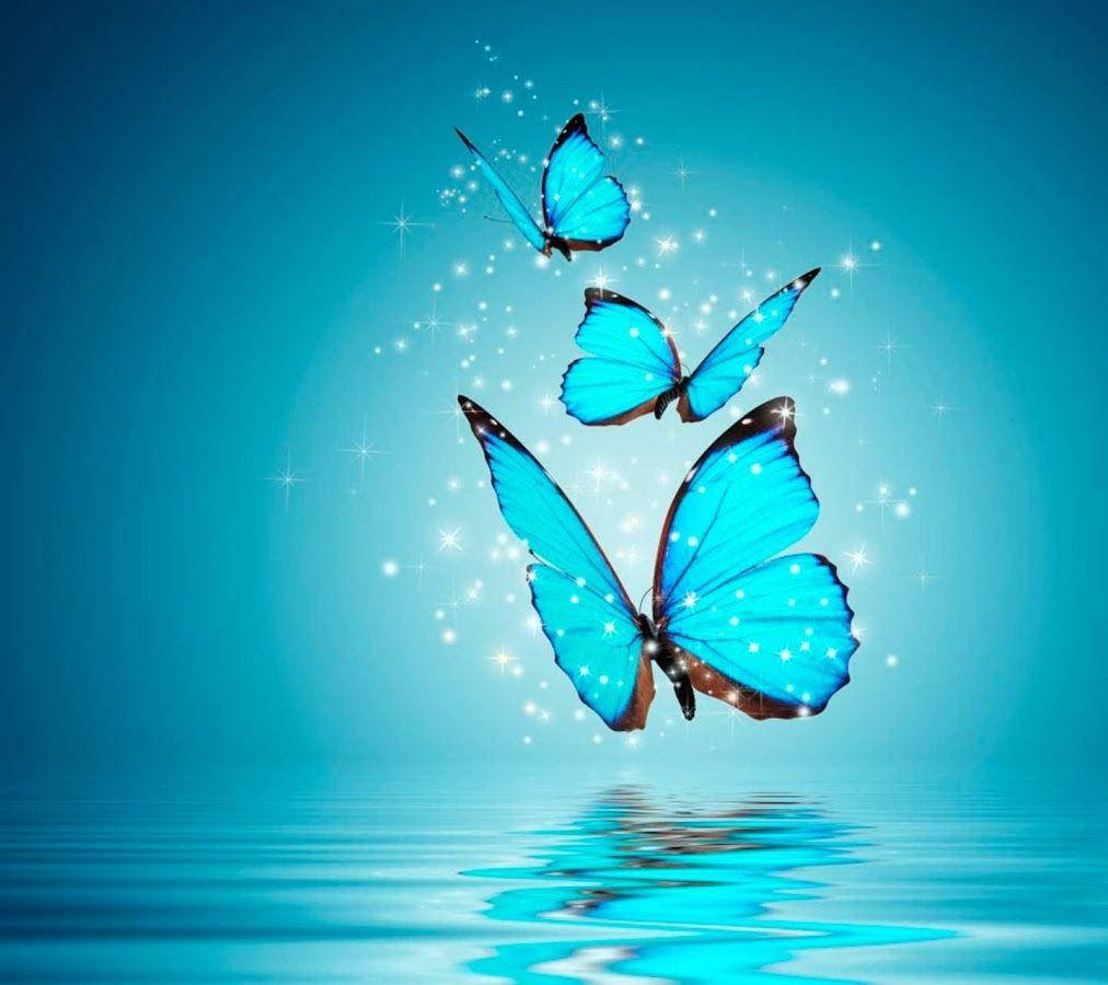 WhatsApp DP, glowing blue butterflies, calm water, SD Desktop Wallpaper