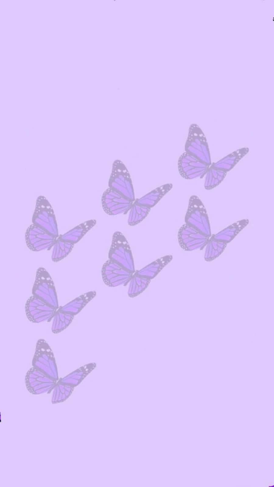 cute light purple, purple butterflies, gray outlines, HD Phone Wallpaper