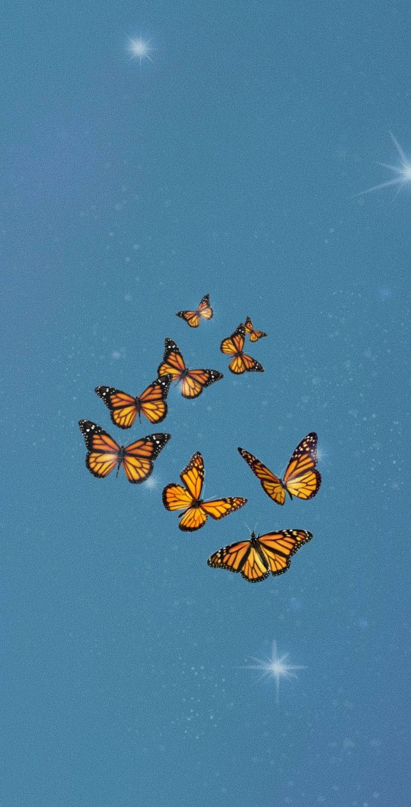 butterfly aesthetic, monarch, flock of monarch butterflies, HD Phone Wallpaper
