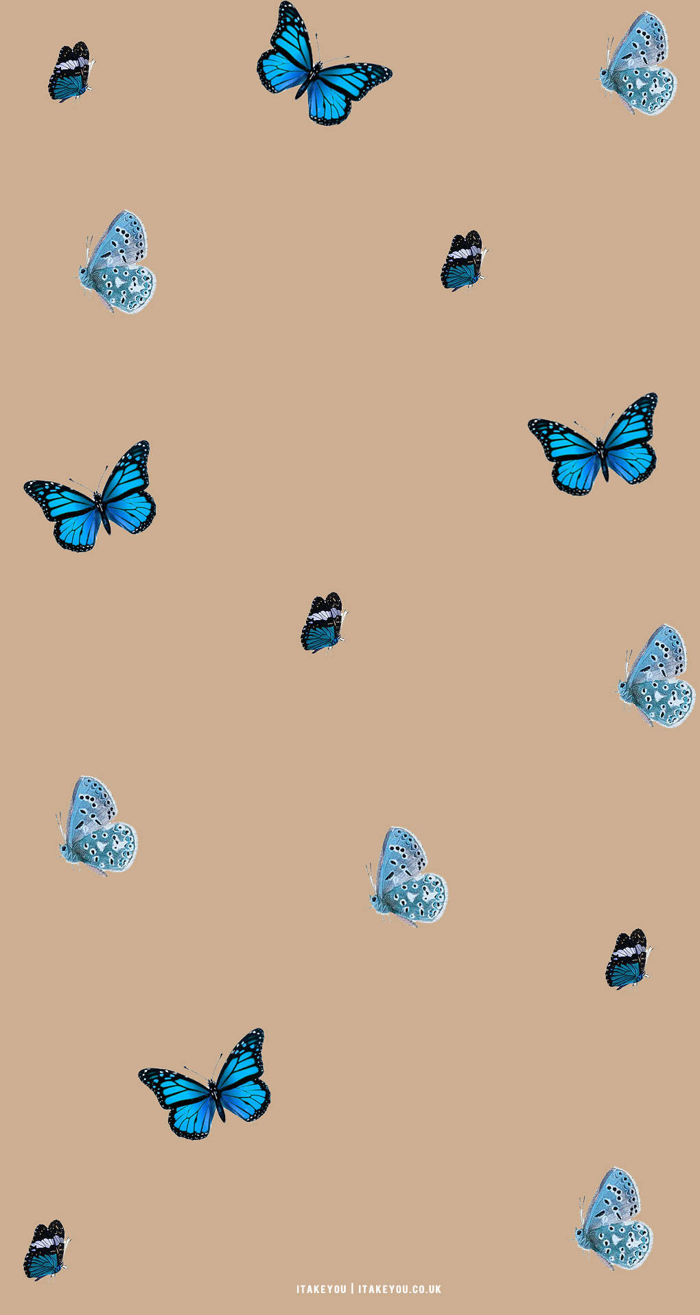 blue butterflies, black outlines, beige background, HD Phone Wallpaper