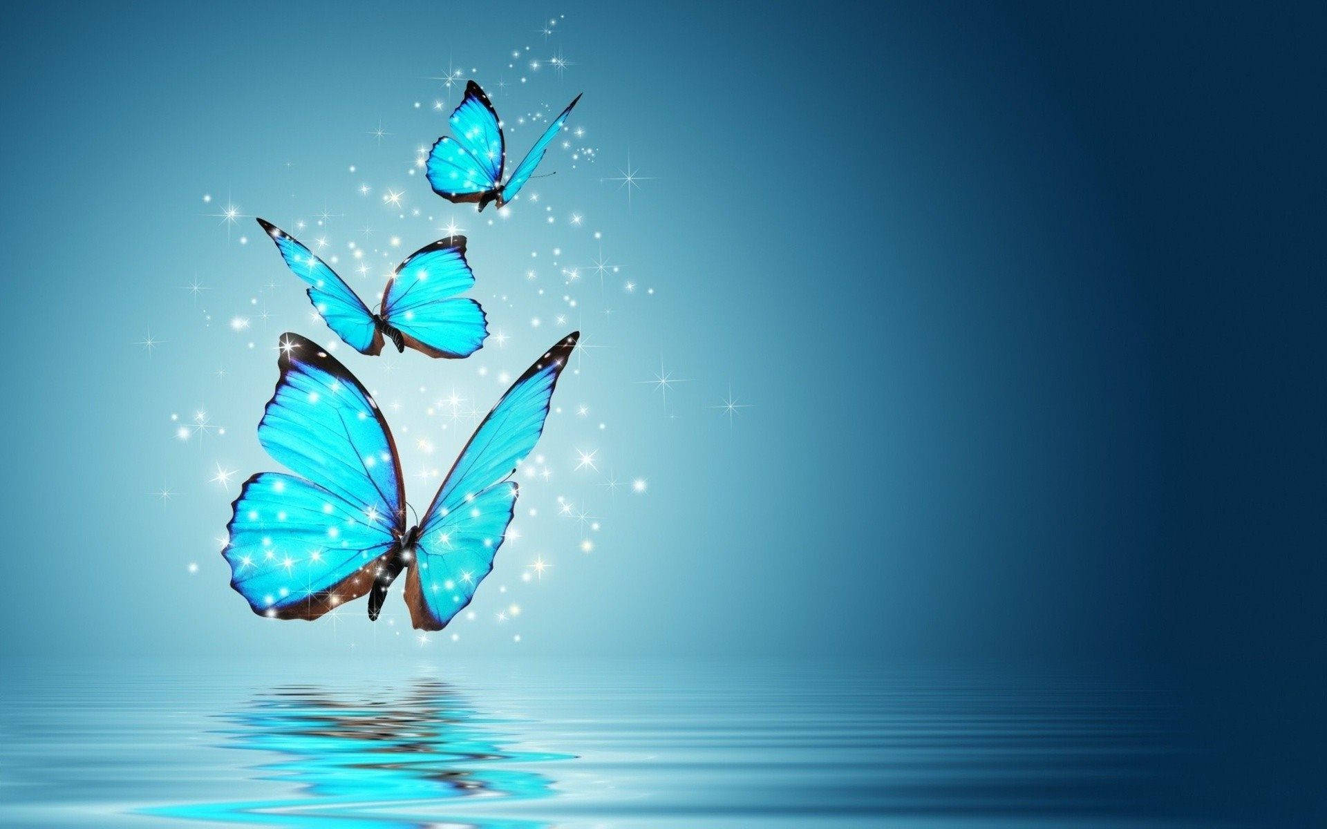 sparkling blue butterfly, glowing blue butterflies, sparkling wings, Full HD Desktop Wallpaper