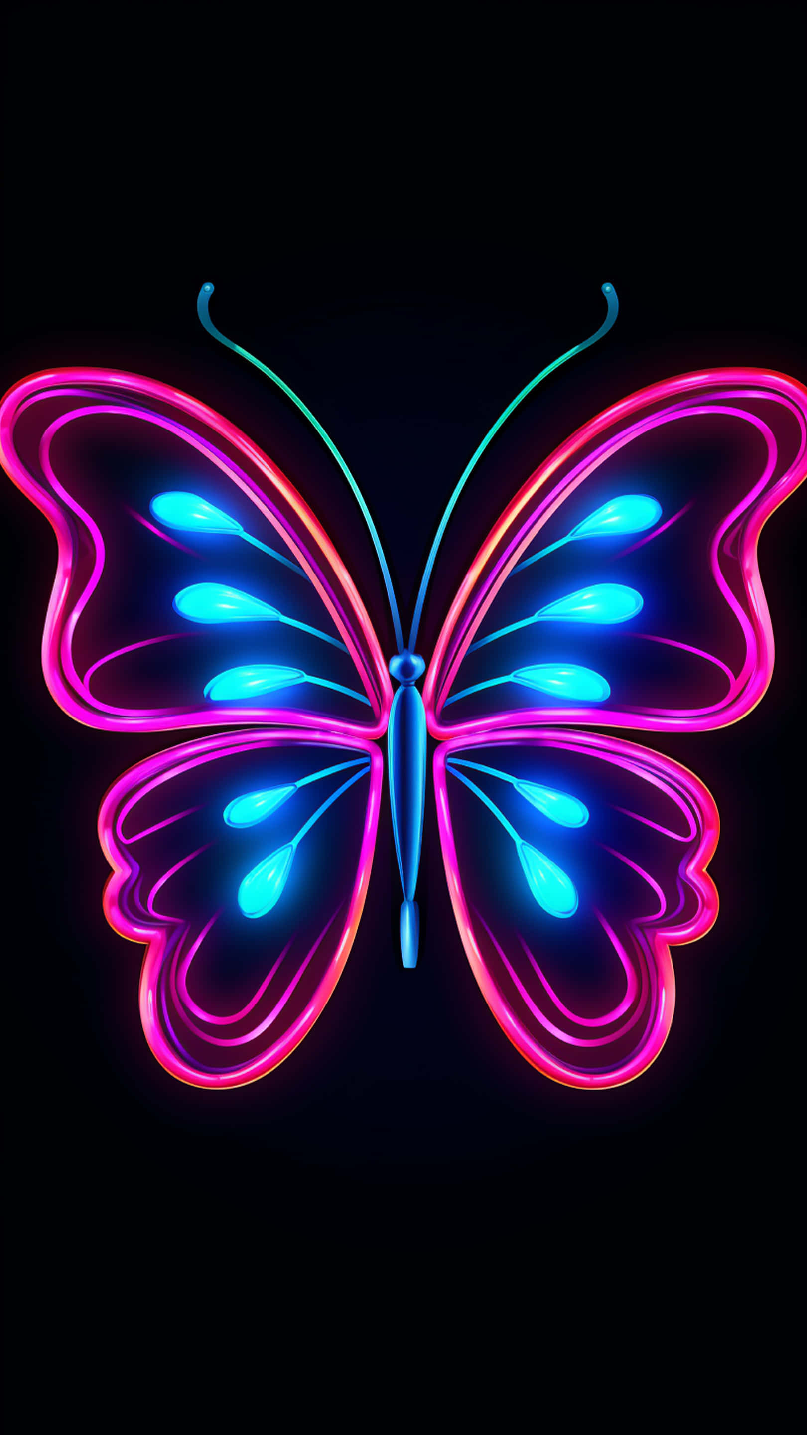 butterfly, neon, magenta wings, 2K Phone Wallpaper