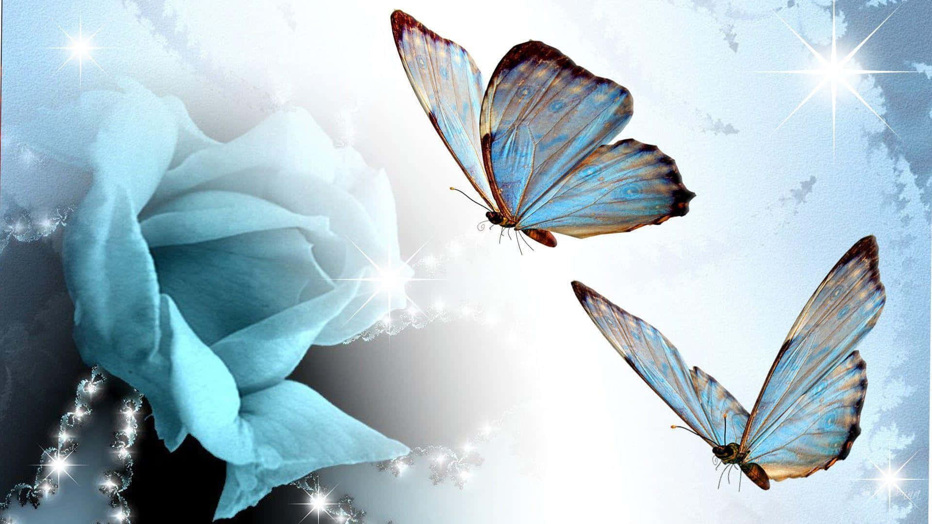 butterfly, iridescent blue, soft blue rose, Full HD Desktop Wallpaper