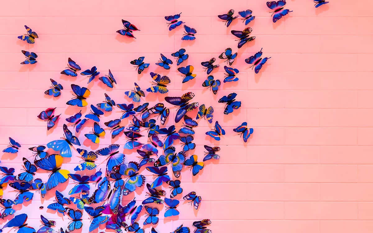 colorful butterflies, blue and yellow butterflies, smooth pink tiled wall, SD Desktop Wallpaper