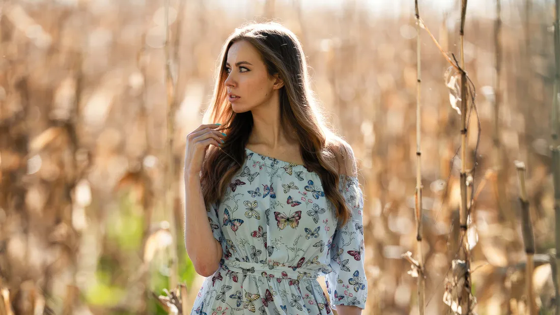 Butterfly Dress