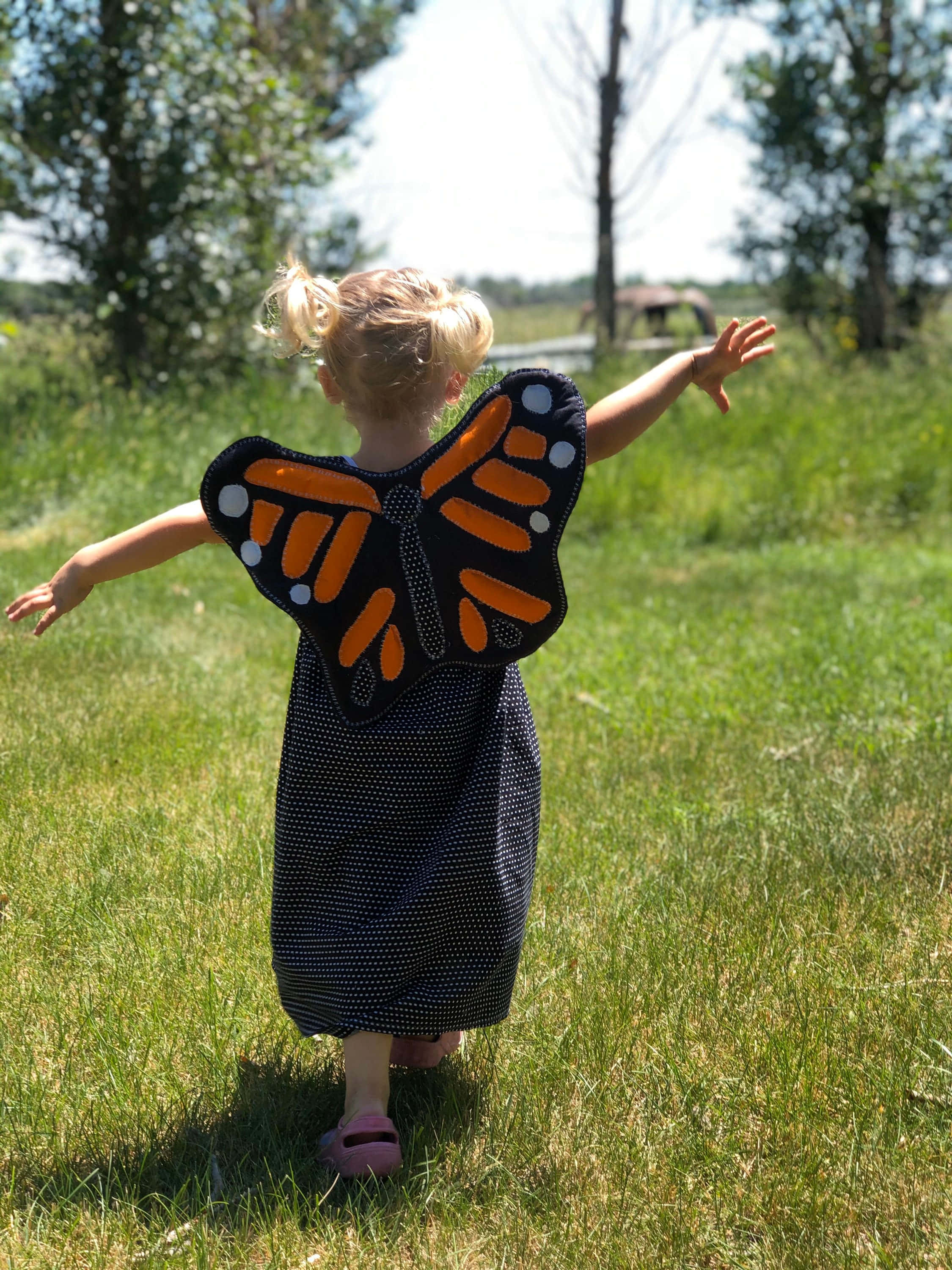 butterfly wing dress, monarch butterfly costume, sunlit grassy field, 2K Phone Wallpaper