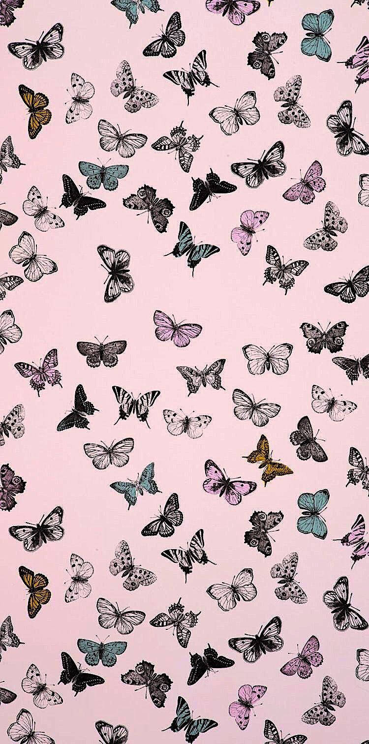 aesthetic butterflies pattern, soft pink background, scattered pattern, HD Phone Wallpaper