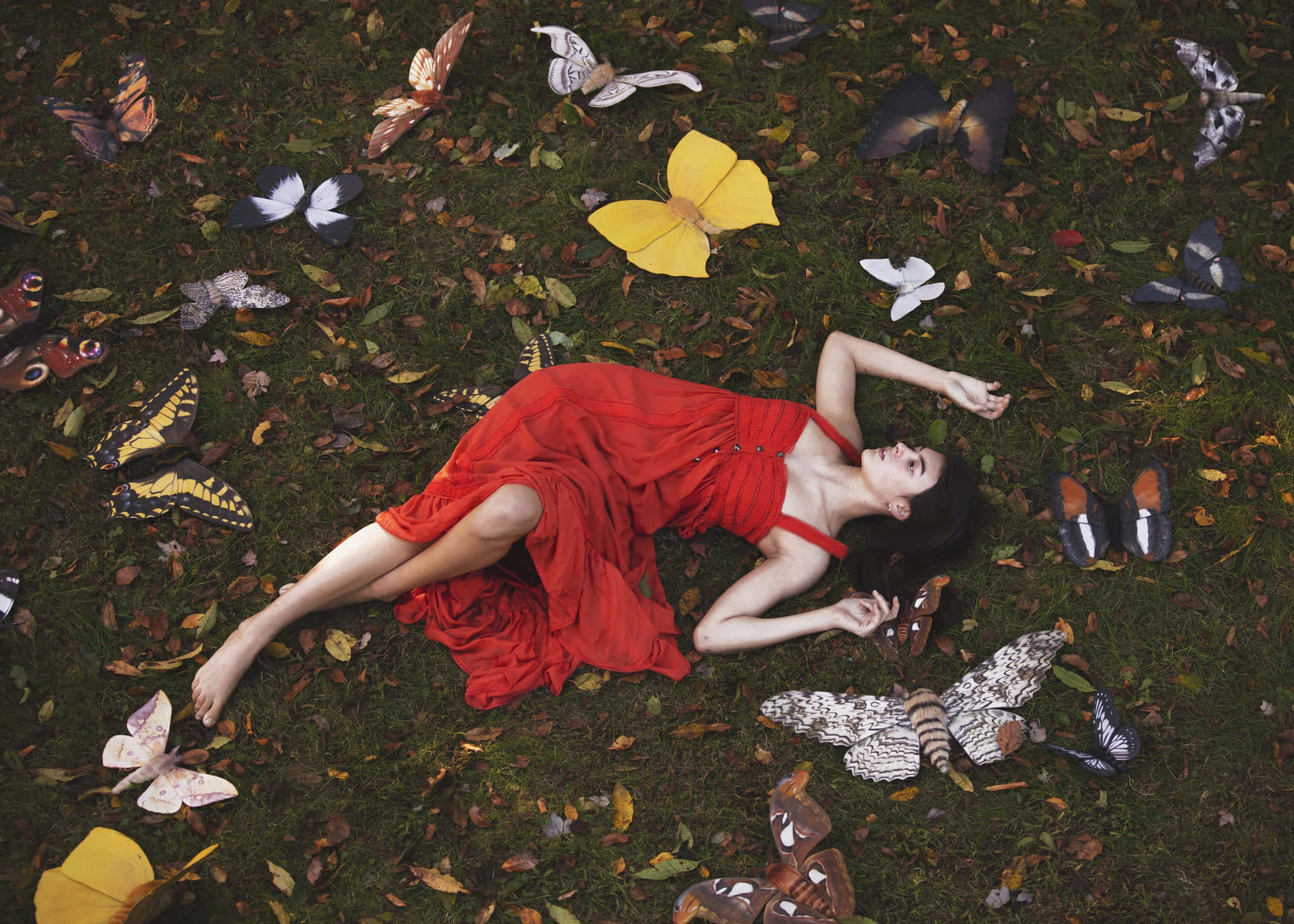 Autumn Butterfly Elegance, red dress, colorful butterflies, Full HD Desktop Wallpaper