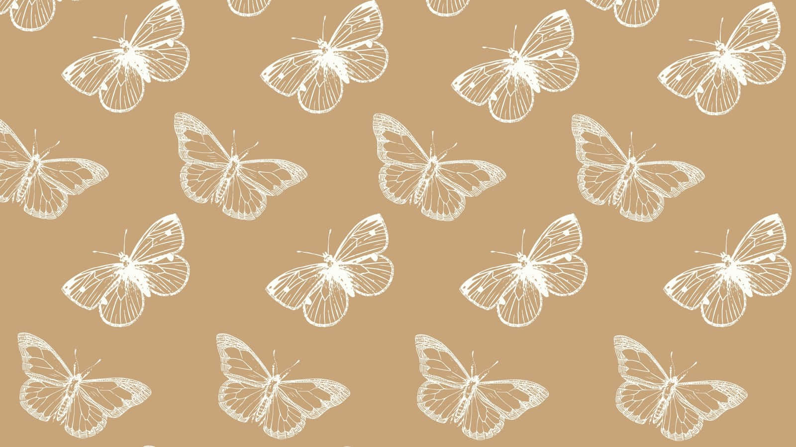 beige butterfly pattern, white outlined butterflies, solid tan background, HD Desktop Wallpaper