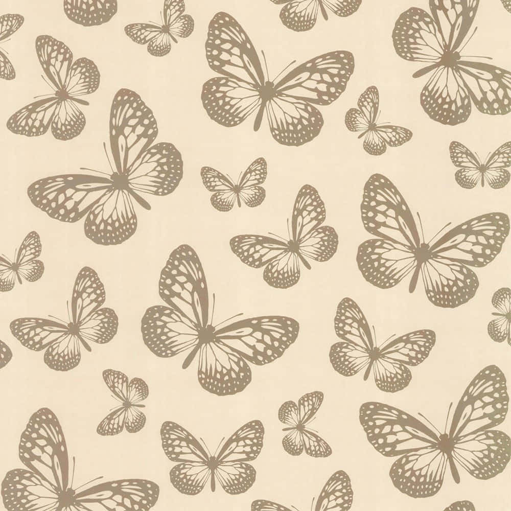 beige butterfly pattern, brown butterflies, detailed wing veins, SD Desktop Wallpaper