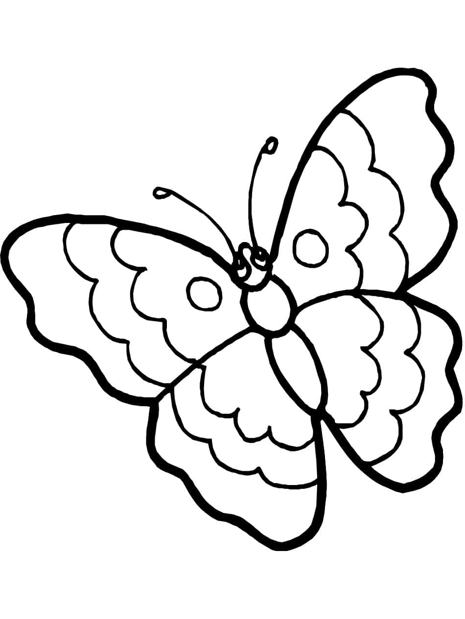 butterfly, black outline, scalloped wings, SD Phone Wallpaper