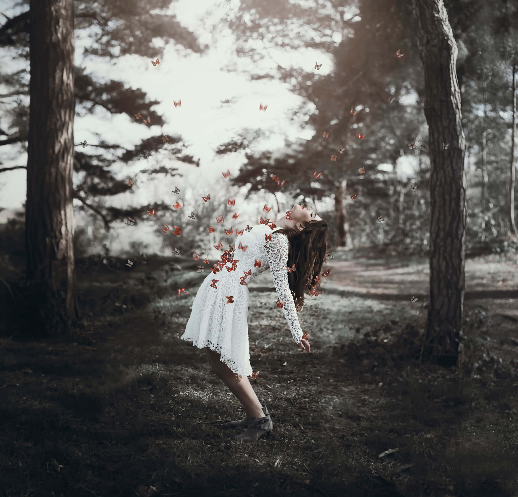 white lace dress, red butterflies, forest, Full HD Desktop Wallpaper