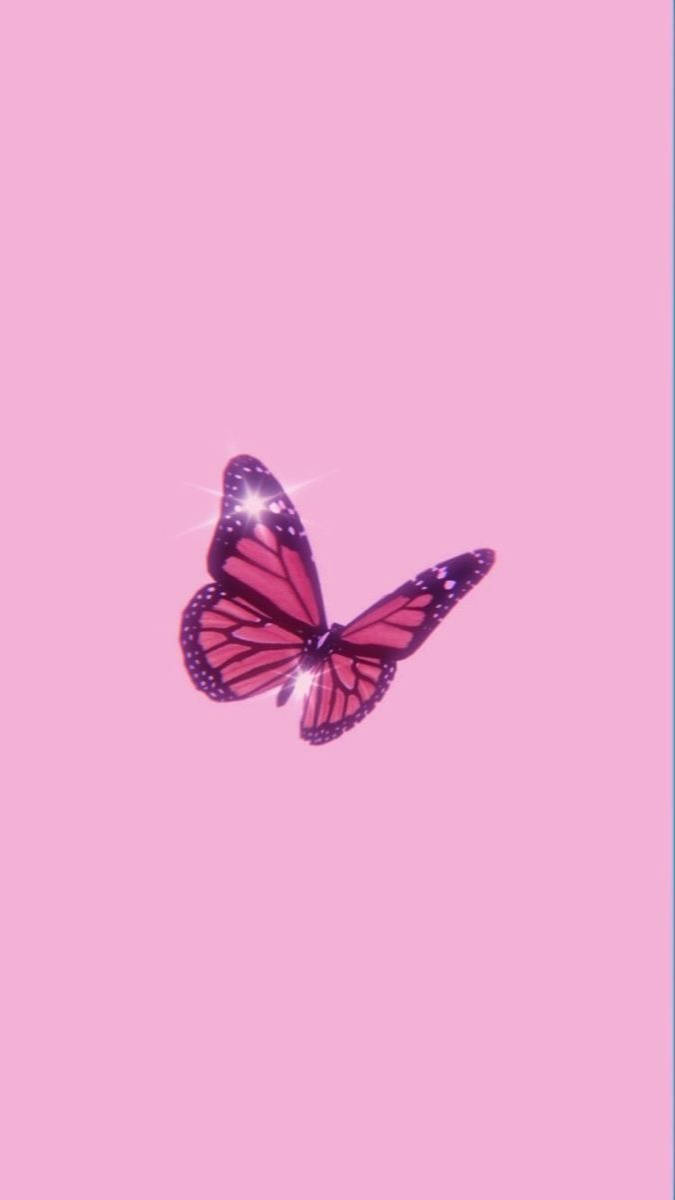 glittering pink and purple butterfly, sparkles on its wings, solid pastel pink background, SD Phone Wallpaper