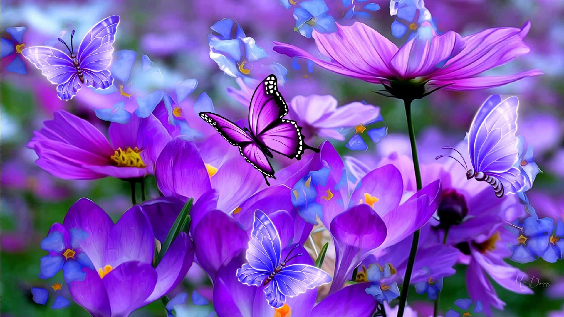 Butterflies, purple cosmos flowers, glowing butterflies, Full HD Desktop Wallpaper