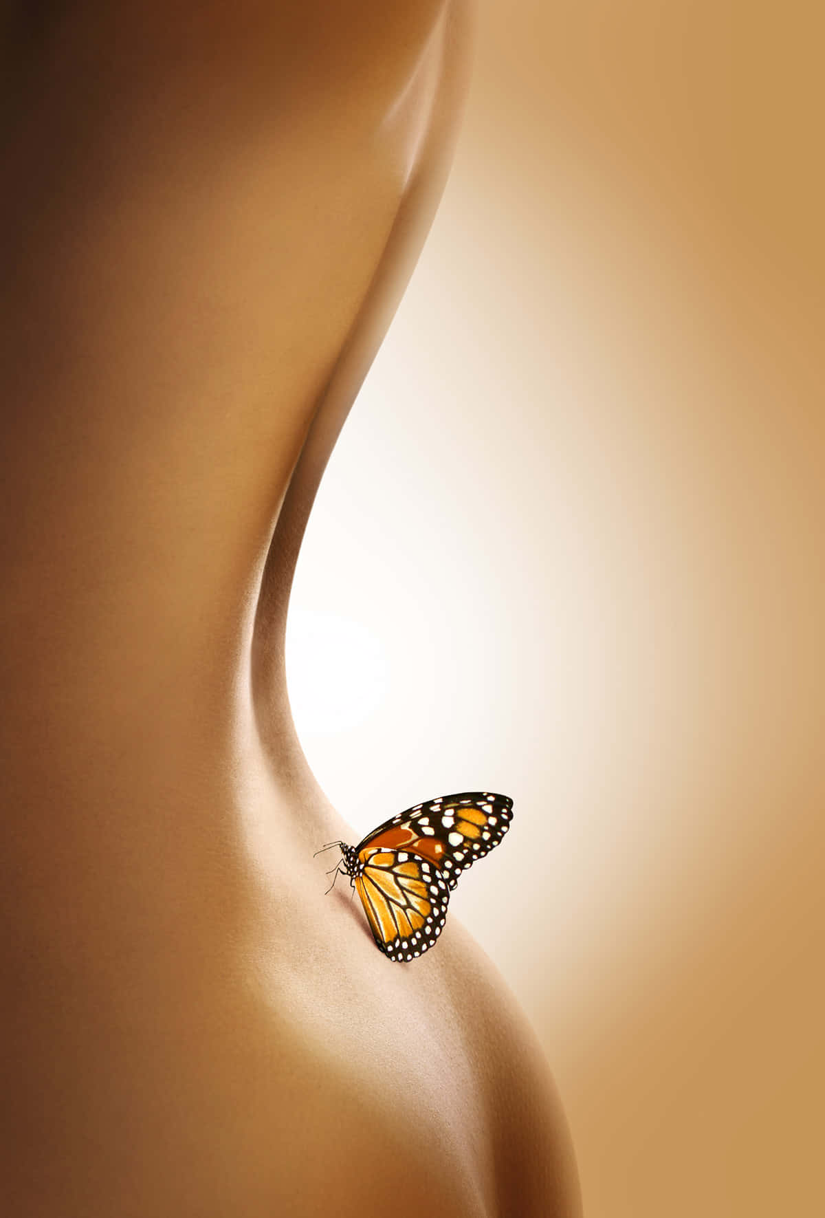 monarch butterfly, bare shoulder, warm golden gradient background, HD Phone Wallpaper