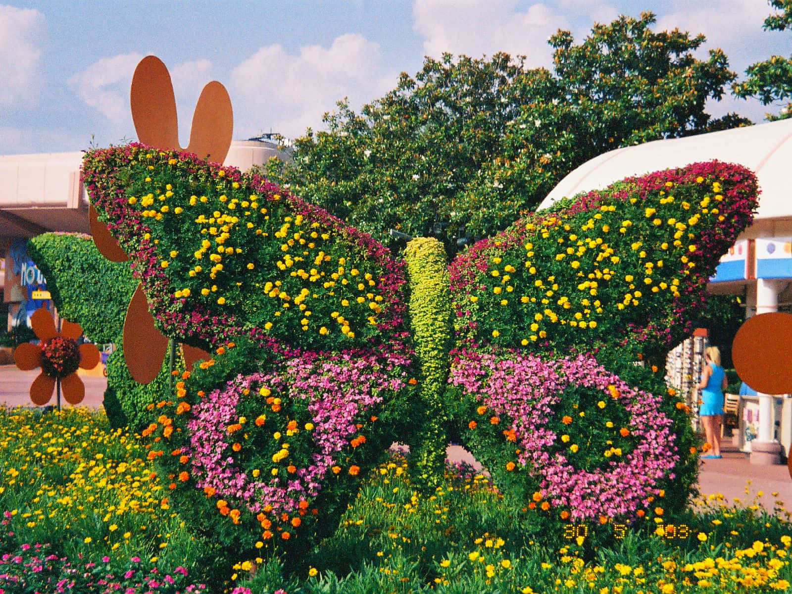 butterfly garden plants, giant butterfly sculpture, greenery, HD Desktop Wallpaper