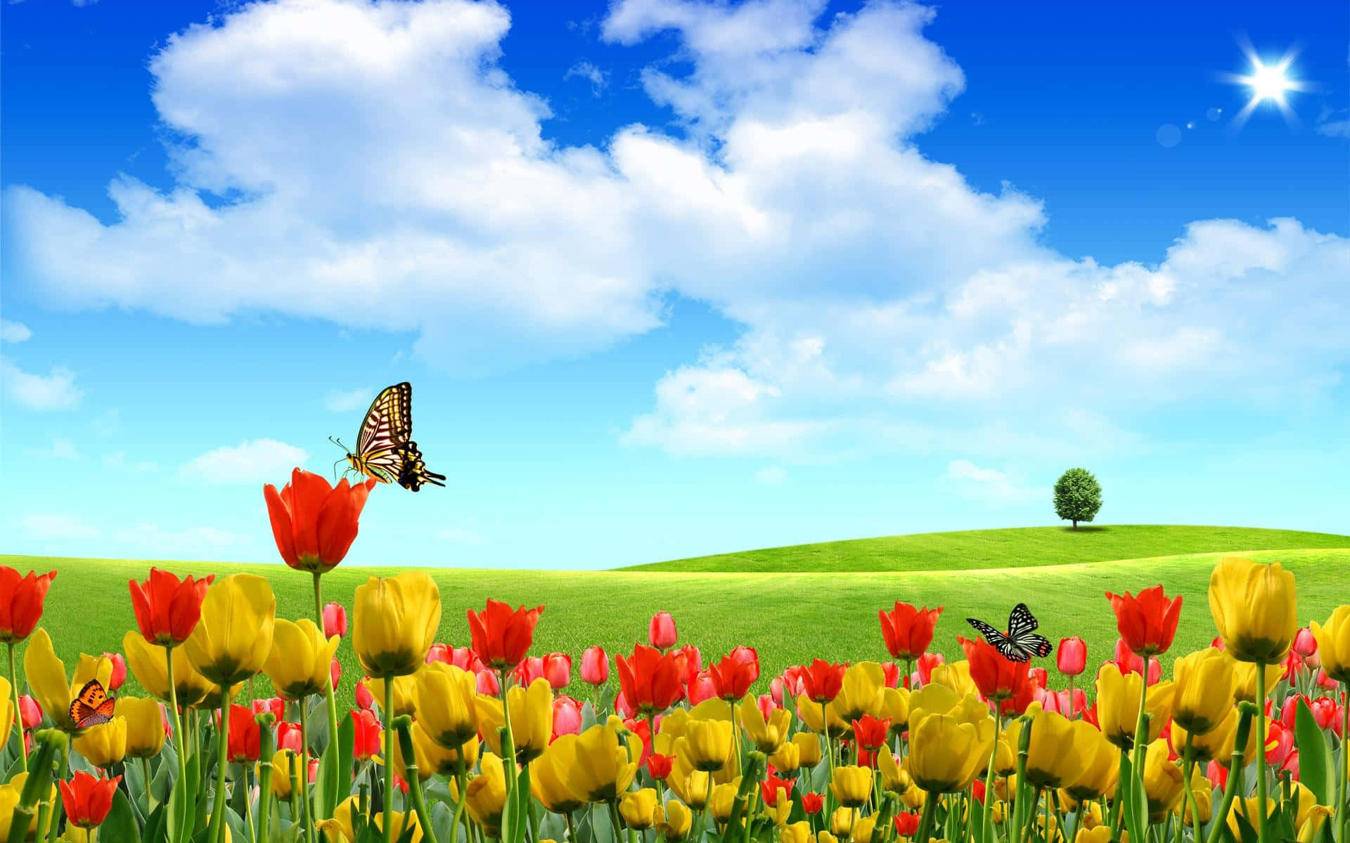 Butterfly Garden, red and yellow tulips, bright blue sky, Full HD Desktop Wallpaper