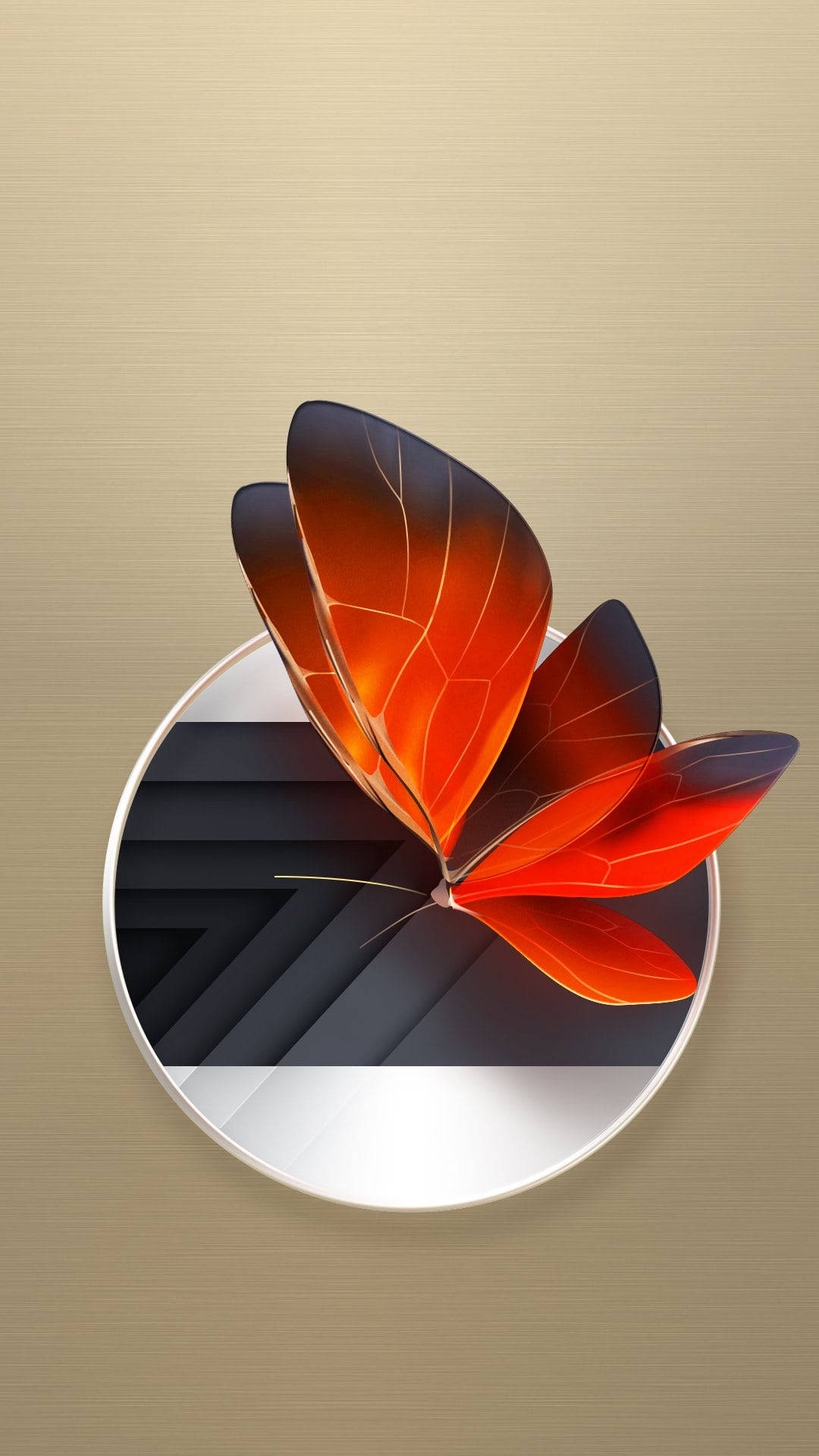 orange butterfly, translucent wings, sleek silver circular frame, Full HD Phone Wallpaper