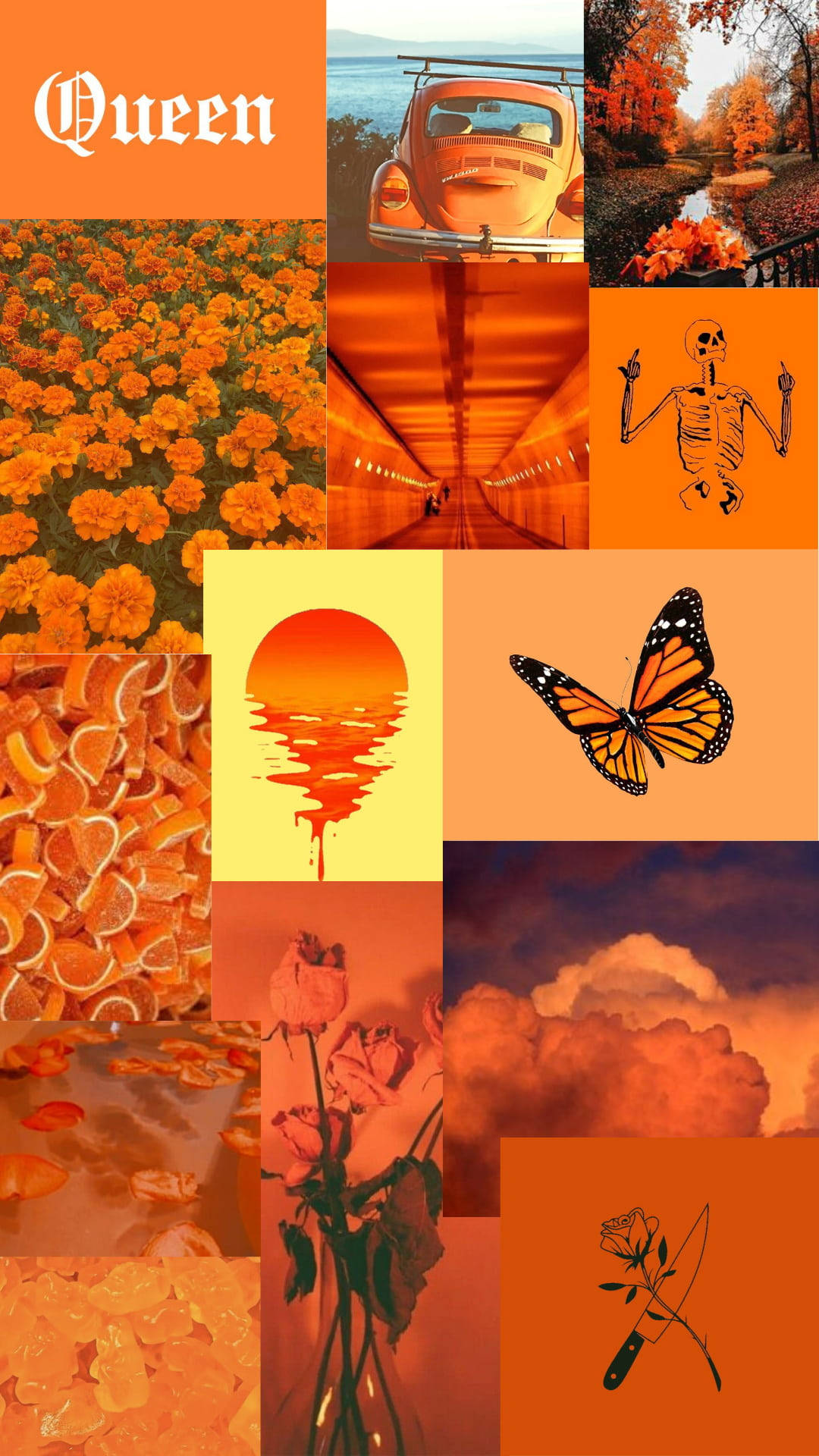 orange butterfly, marigolds, sunset tunnel, Full HD Phone Wallpaper
