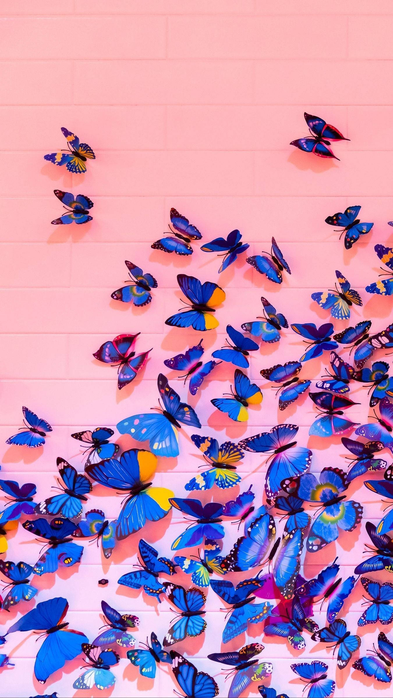 Butterfly iPhone, pink wall, blue butterflies, Full HD Phone Wallpaper