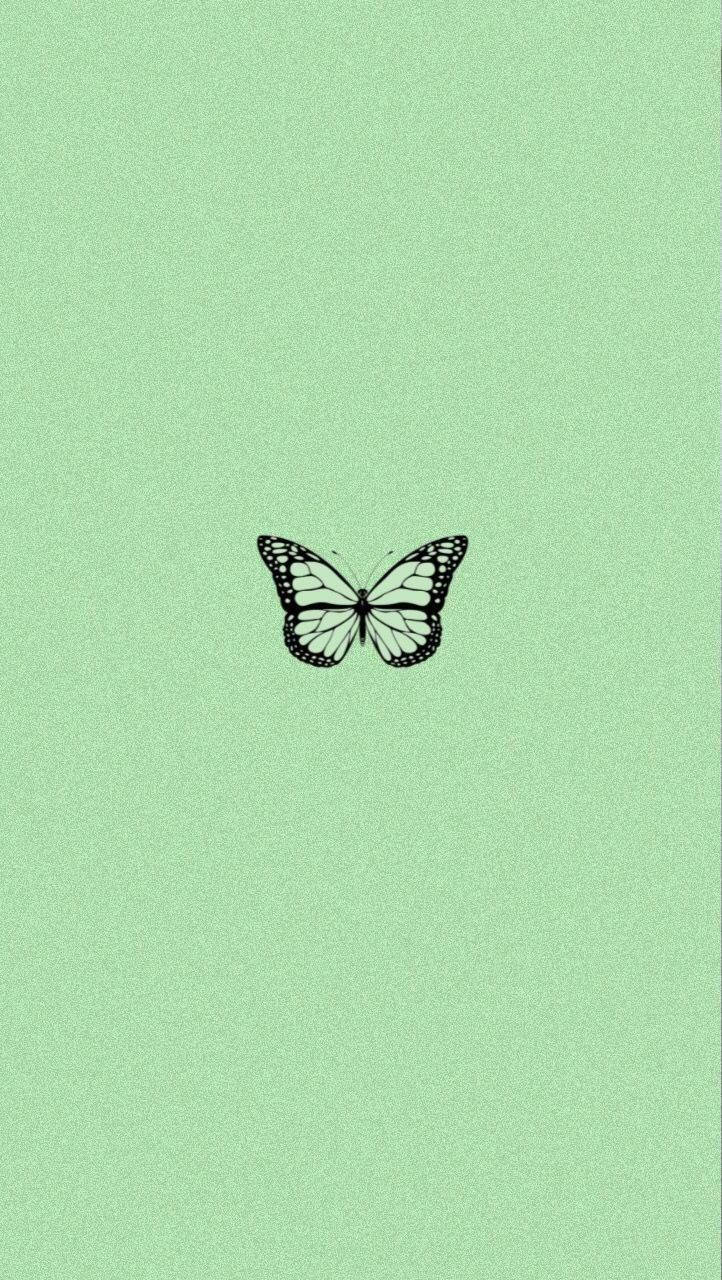 mint green, iPhone, minimalist, HD Phone Wallpaper