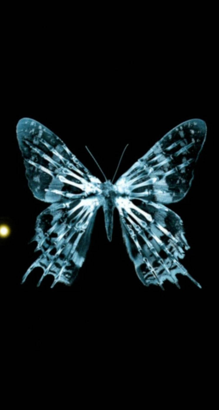 Butterfly iPhone, glowing blue butterfly, intricate wing patterns, HD Phone Wallpaper