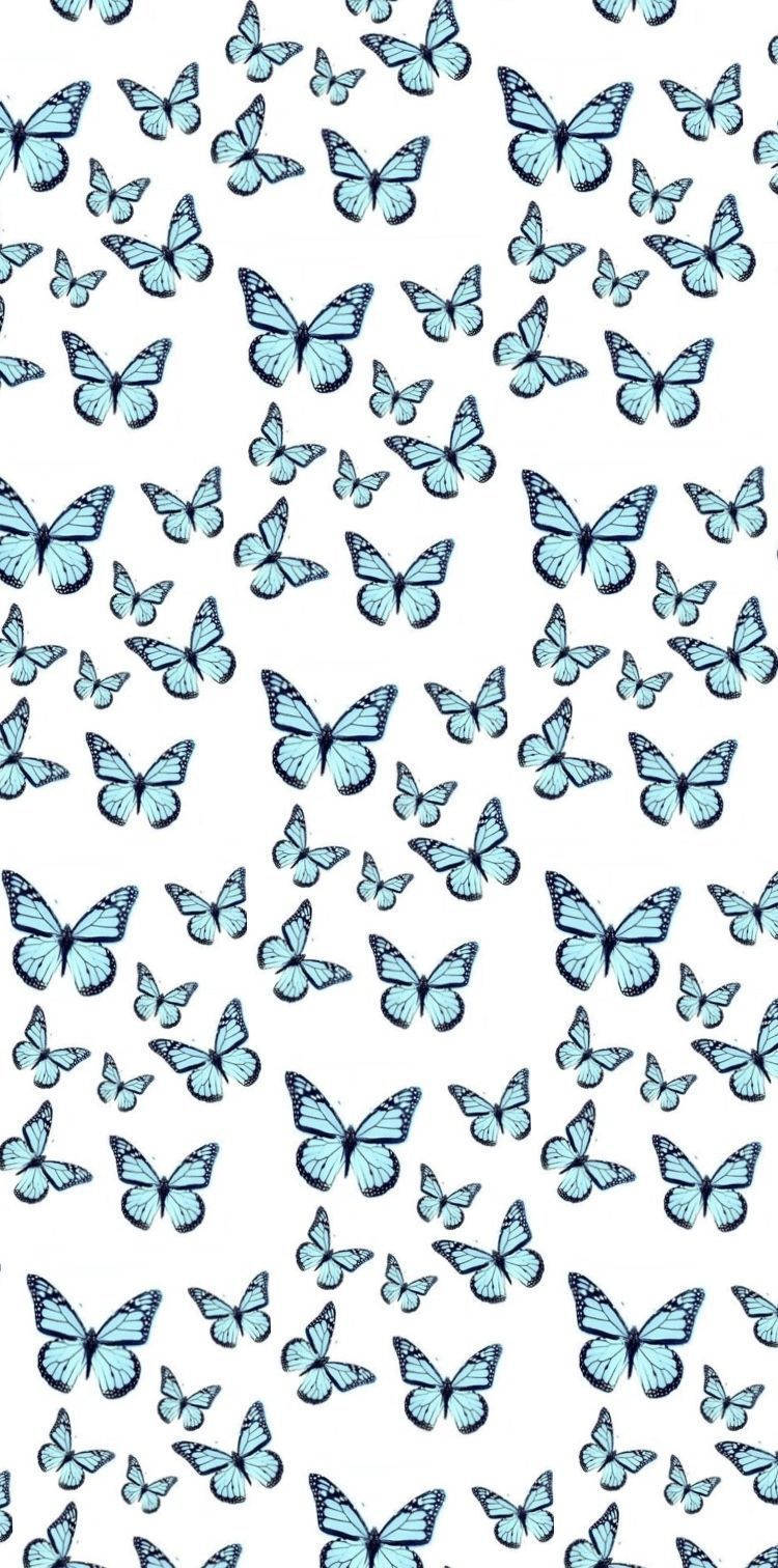 Butterfly iPhone, light blue butterflies, dark outlines, HD Phone Wallpaper