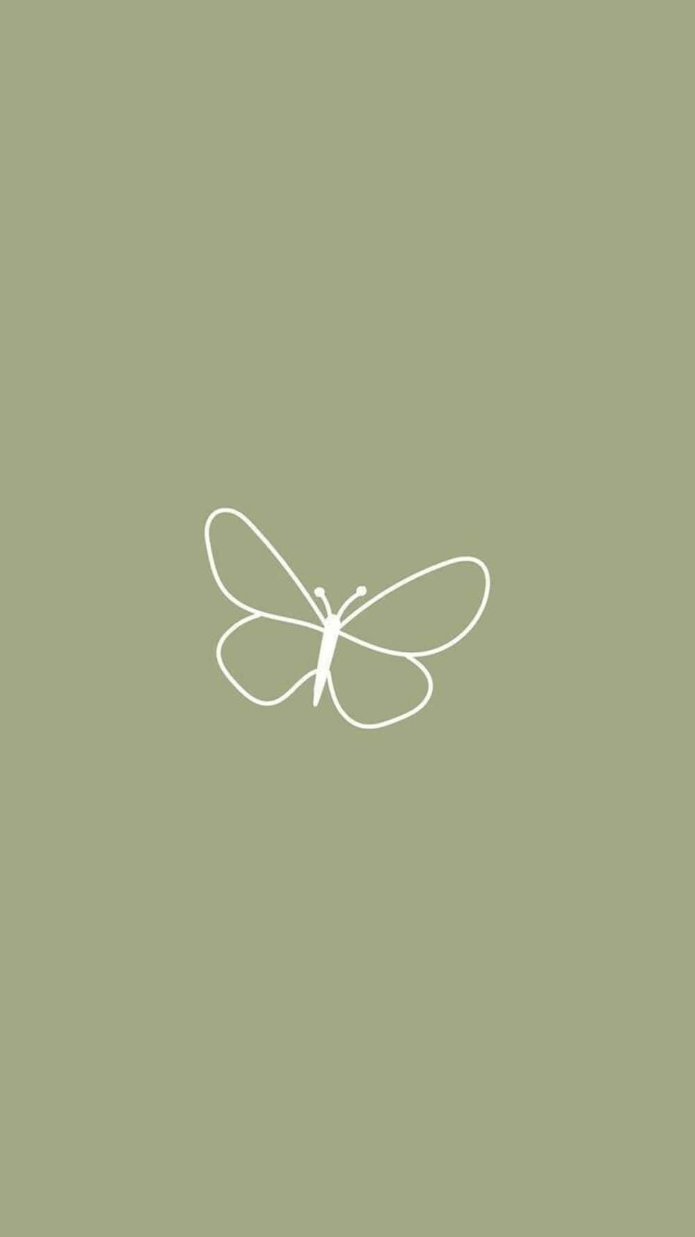 iPhone 11, green, transparent butterfly, HD Phone Wallpaper