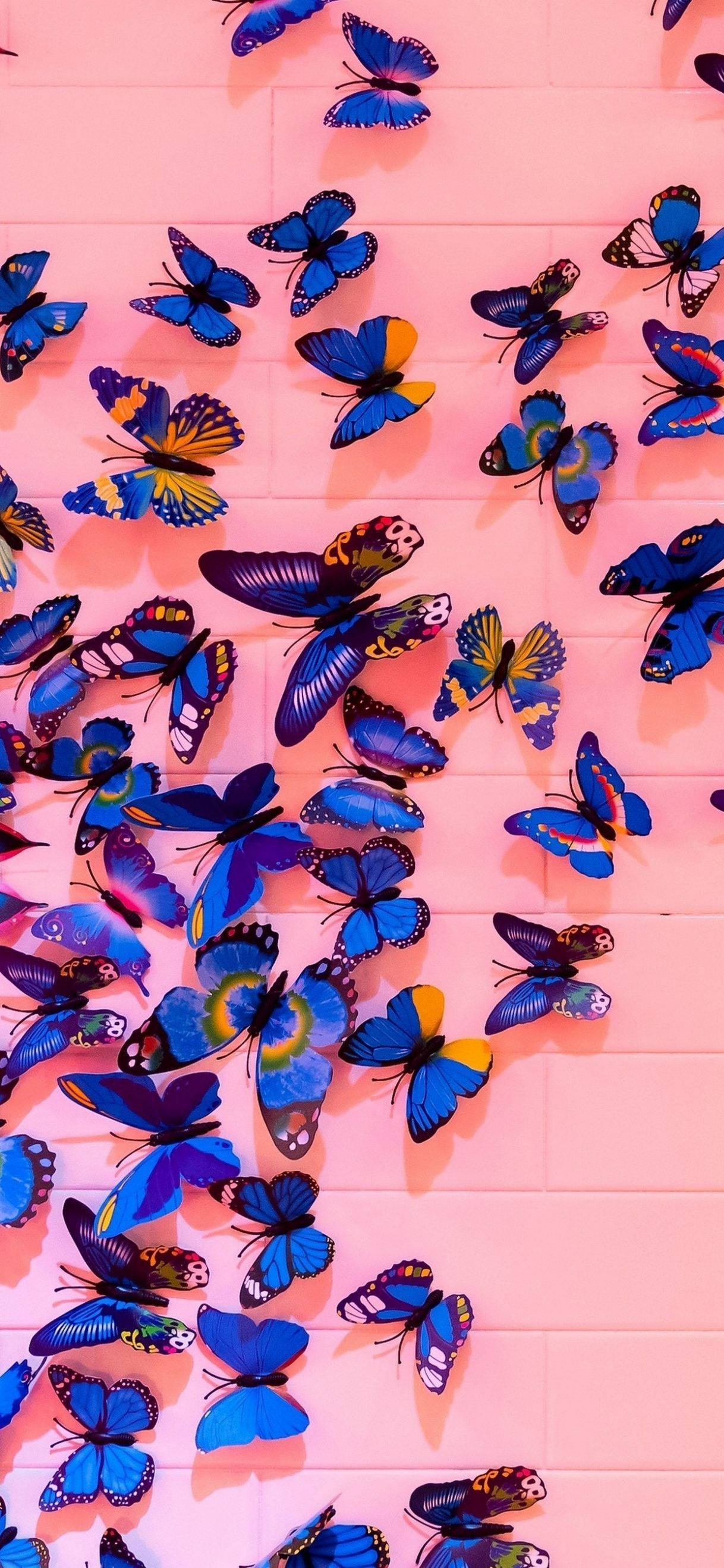 Butterfly iPhone, vibrant blue, yellow butterflies, 2K Phone Wallpaper