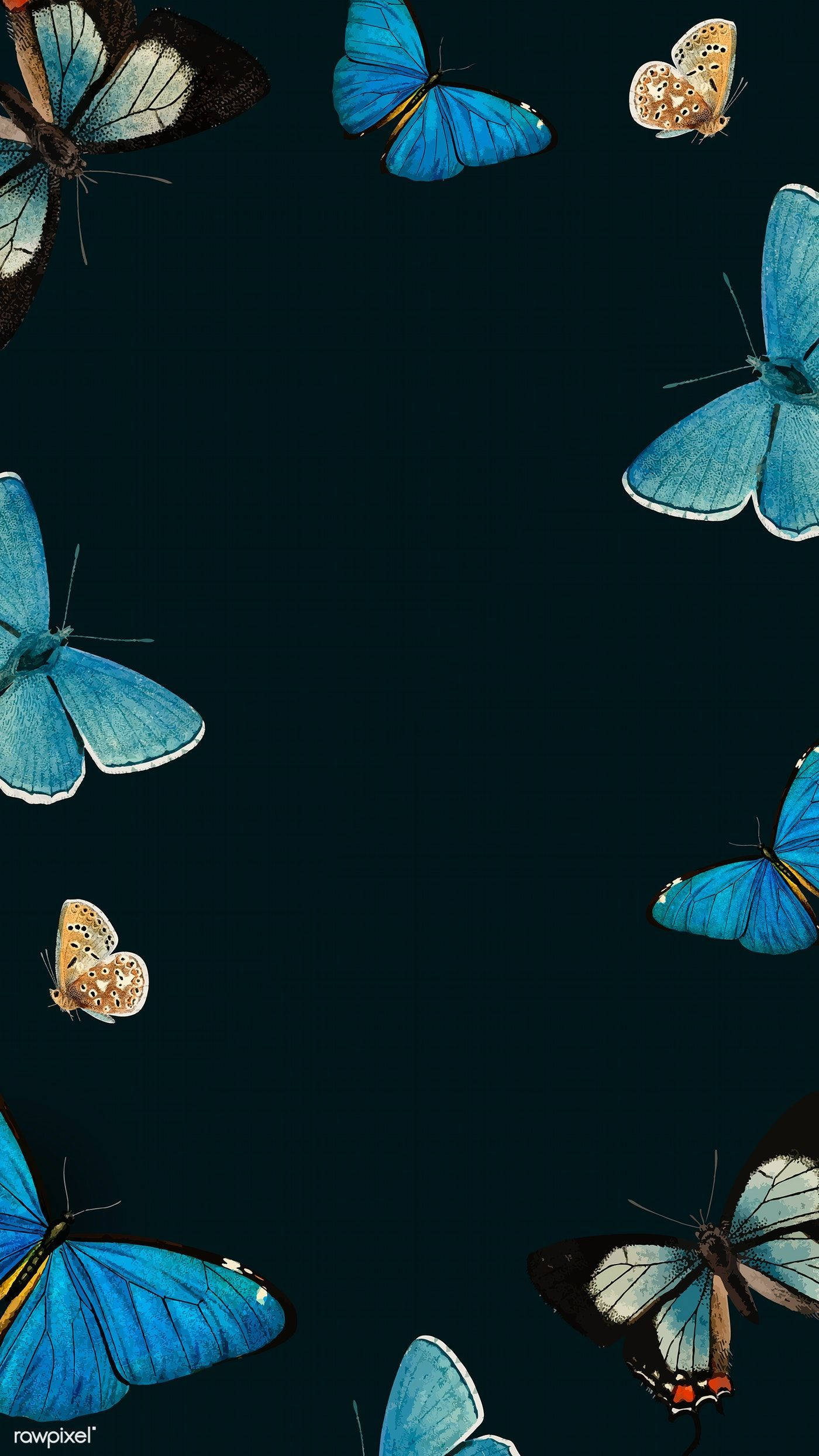Cute Butterfly iPhone Screen Theme, vibrant blue, brown, Full HD Phone Wallpaper