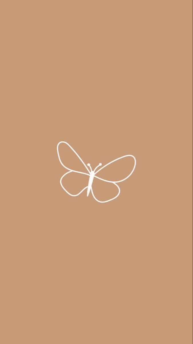 butterfly, white line drawing, warm brown background, SD Phone Wallpaper
