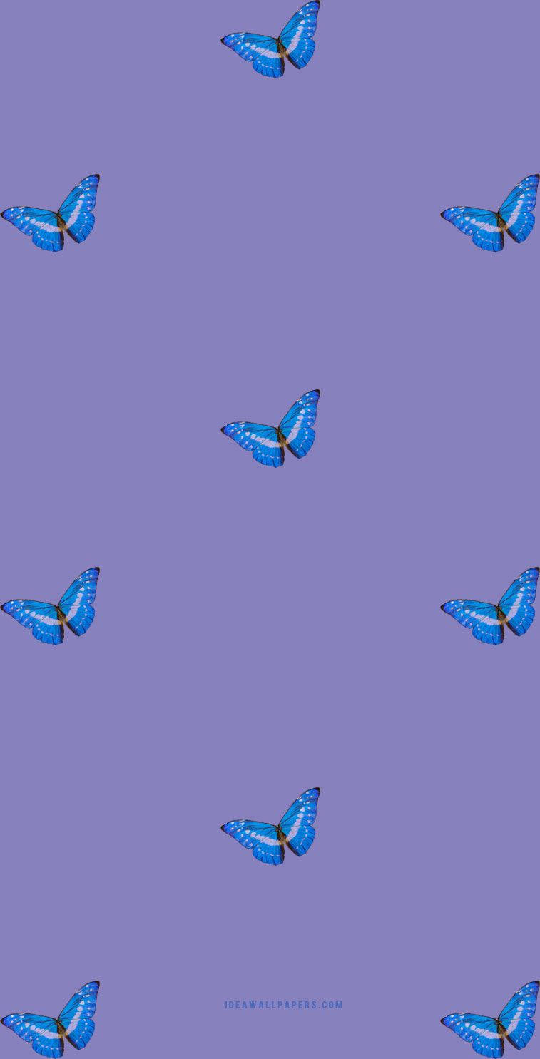 Butterfly iPhone, blue butterflies, white spots, HD Phone Wallpaper