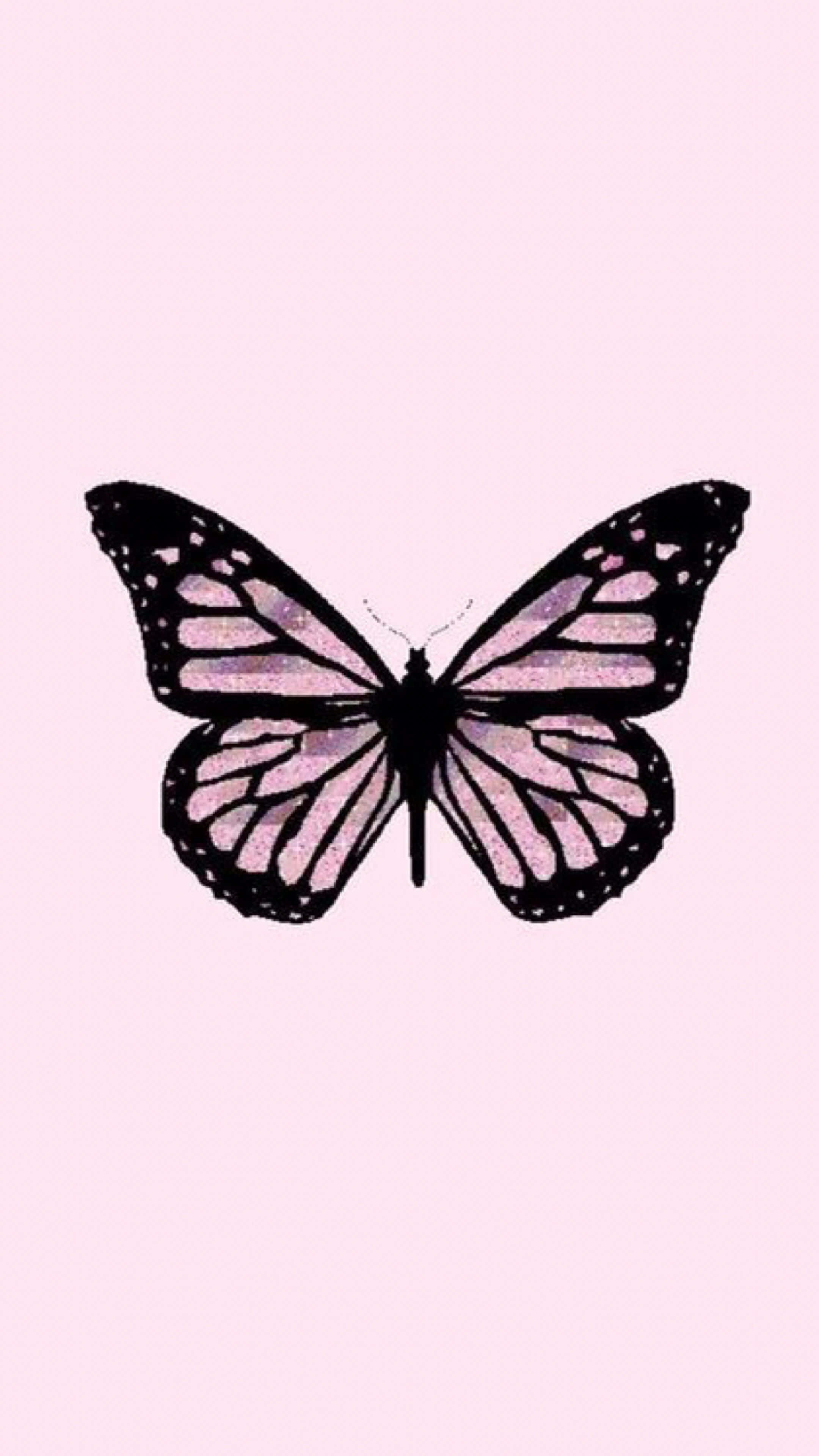 butterfly, pink background, black outlines, 4K Phone Wallpaper