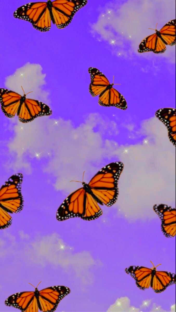 Glitter Butterfly, Monarch butterflies, purple sky, SD Phone Wallpaper