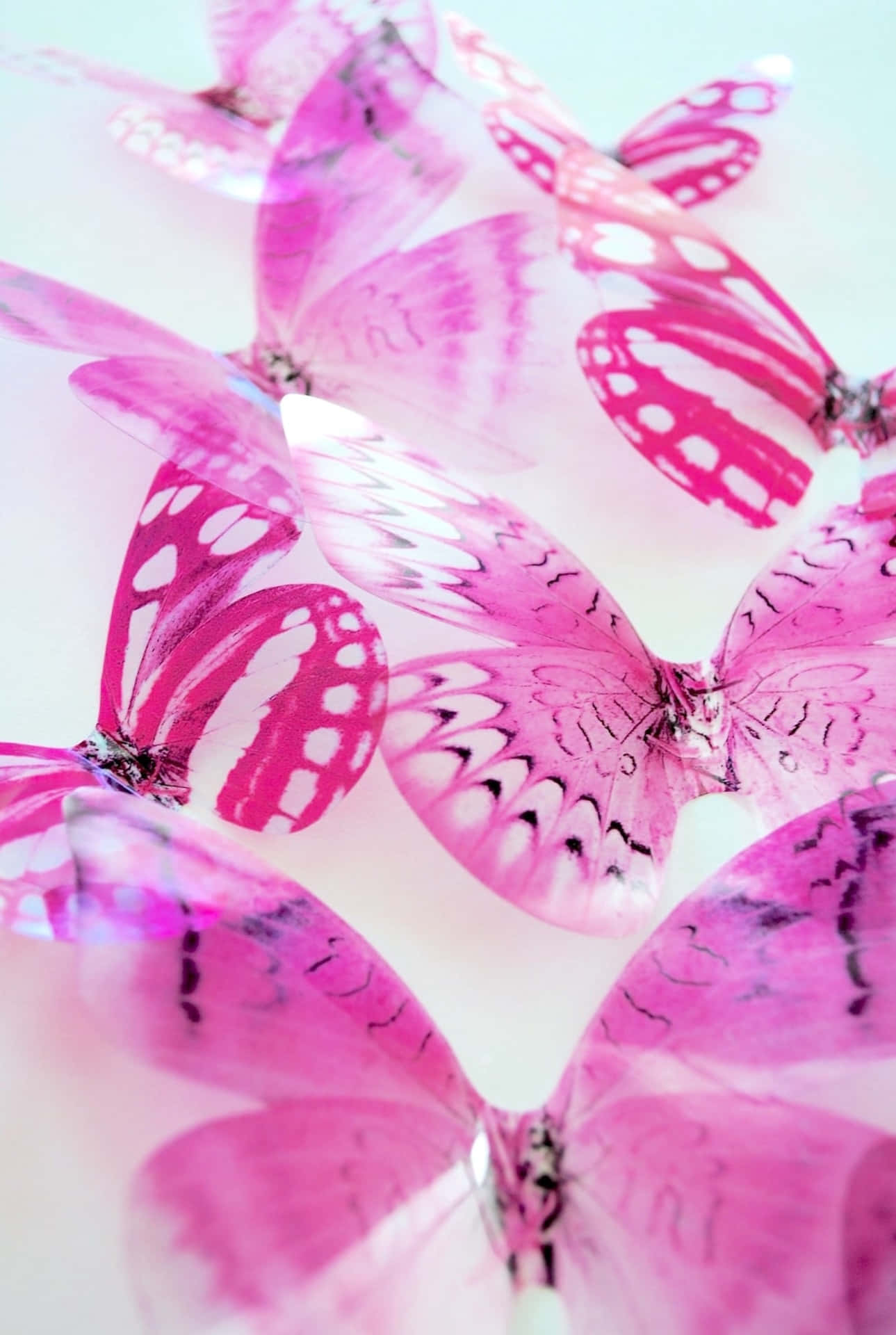 pink butterfly garland decoration, vibrant pink butterflies, intricate white and black patterns, Full HD Phone Wallpaper